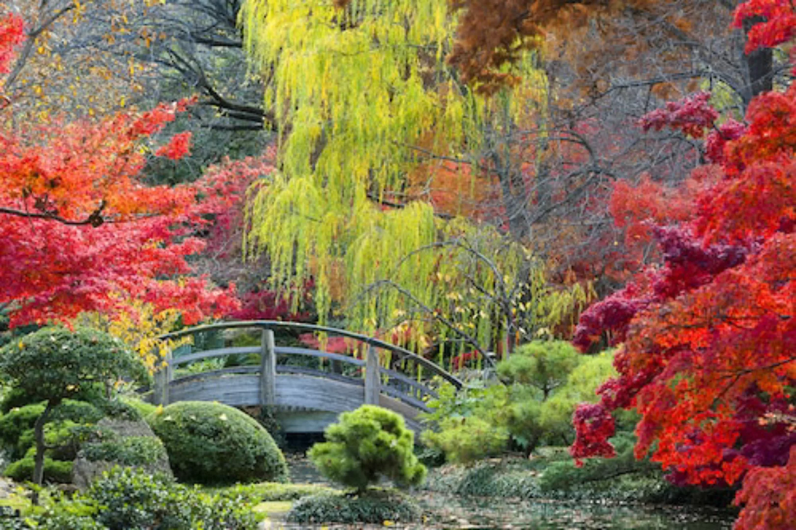 Papermoon Fototapete »GARTEN-NATUR WALD BÄUME HERBSTLANDSCHAFT BLUMEN SEE X günstig online kaufen