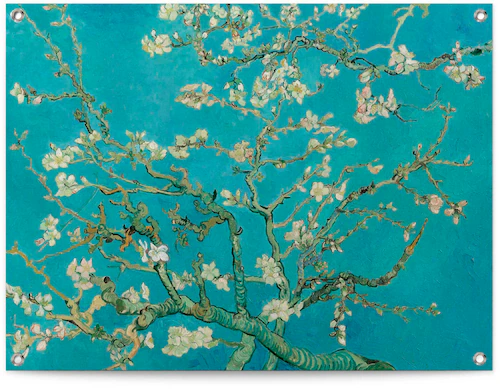 Reinders Poster "Mandelblüte - Vincent van Gogh" günstig online kaufen