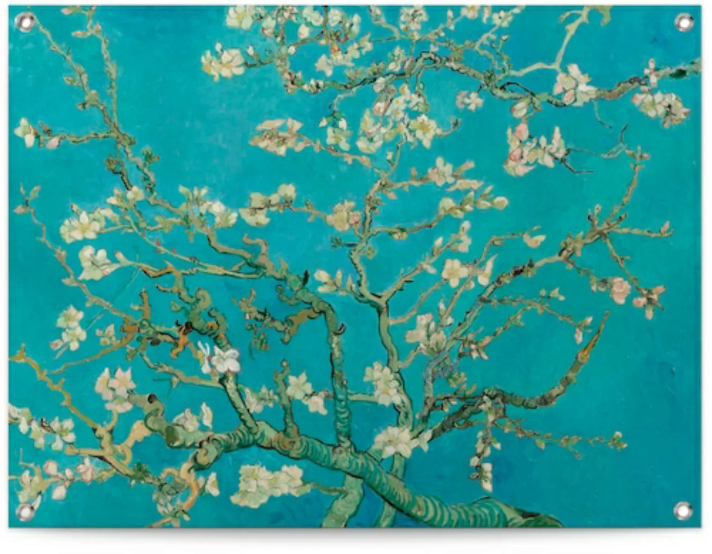 Reinders! Poster »Mandelblüte - Vincent van Gogh« günstig online kaufen