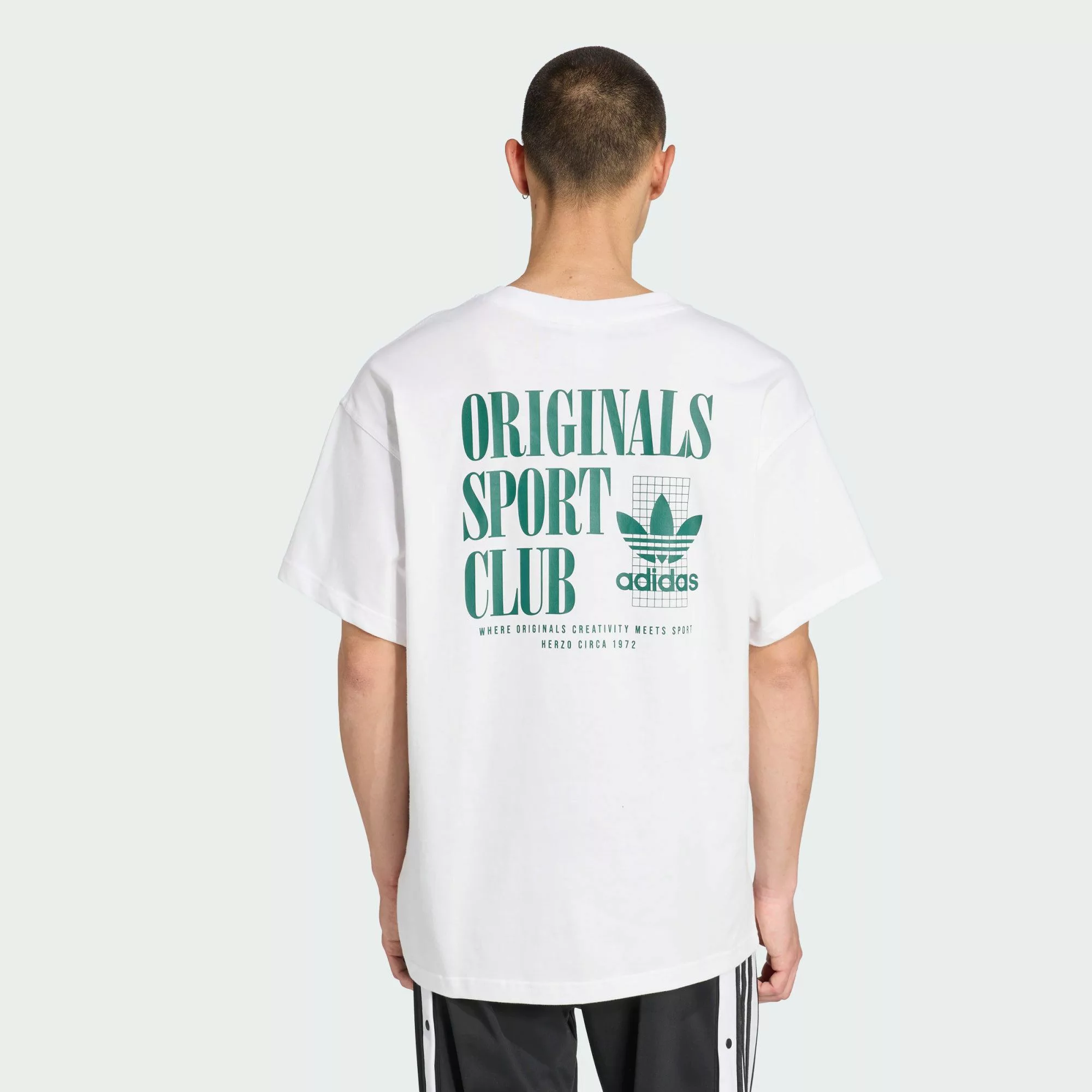 adidas Originals T-Shirt SPORT CLUB GFX günstig online kaufen
