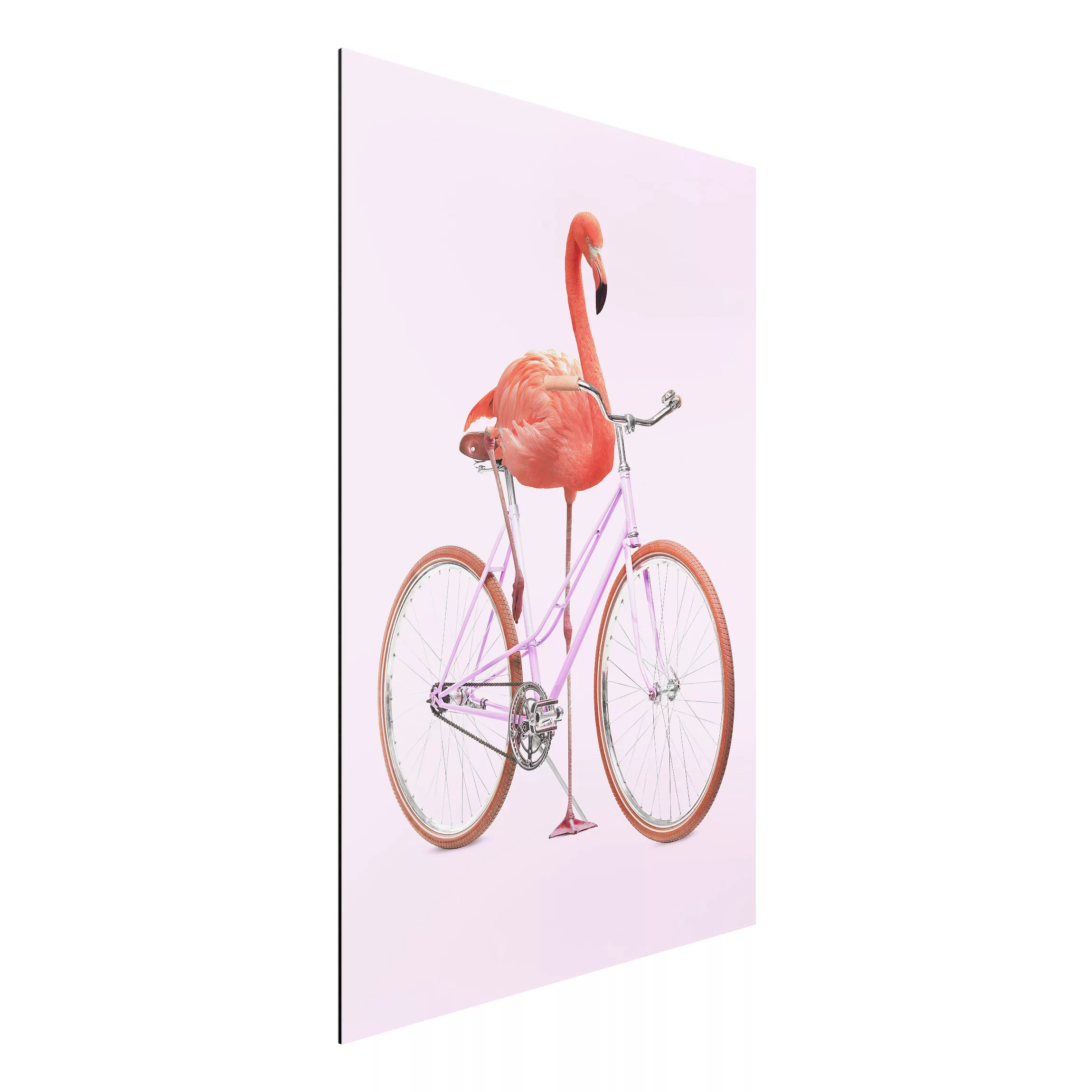 Alu-Dibond Bild Kunstdruck - Hochformat 2:3 Flamingo mit Fahrrad günstig online kaufen