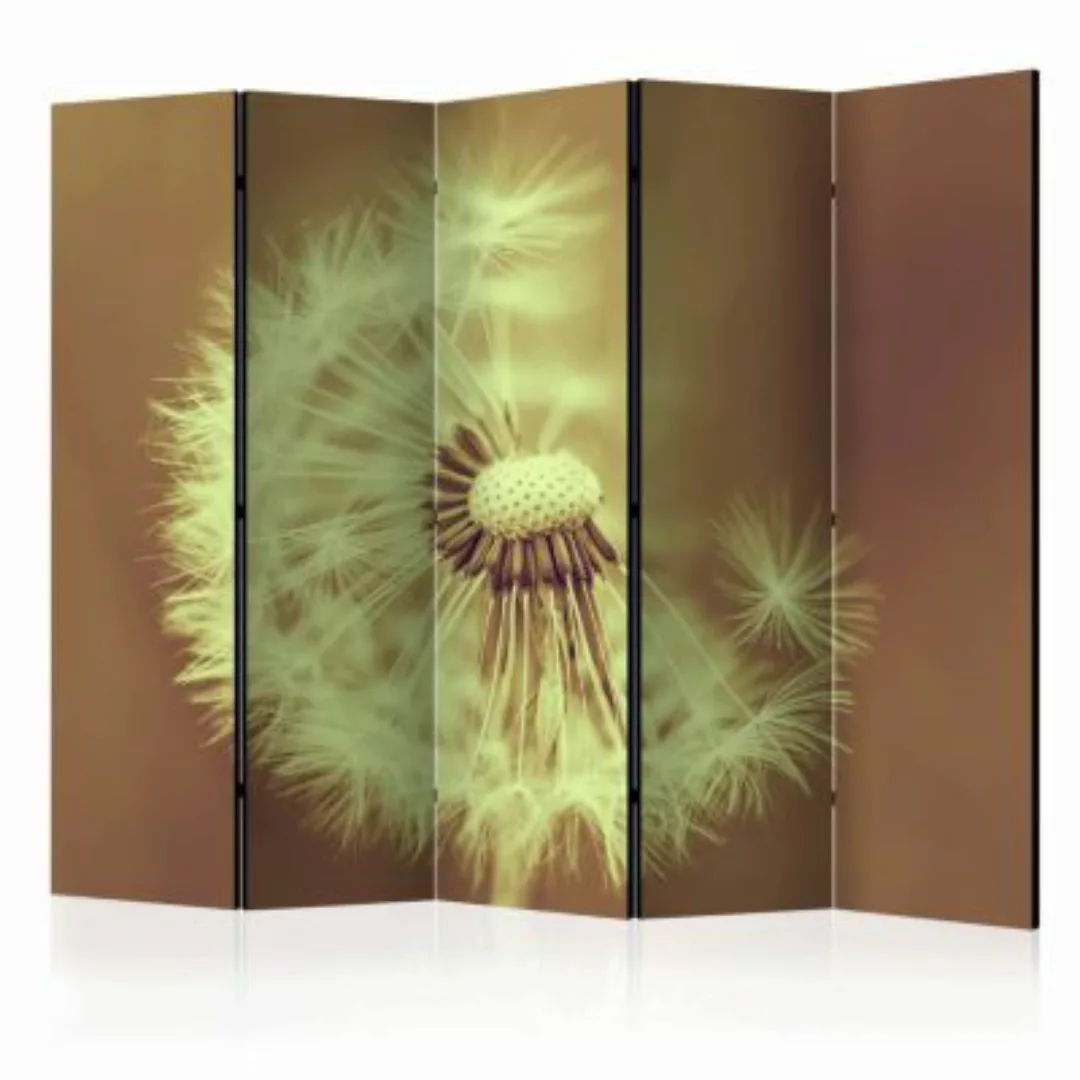 artgeist Paravent dandelion (sepia) II [Room Dividers] sand Gr. 225 x 172 günstig online kaufen