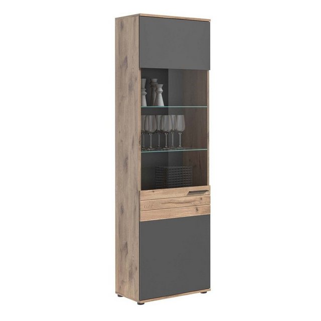 xonox.home Vitrine in nox oak/basalt grau - 57x200x37cm (BxHxT) günstig online kaufen