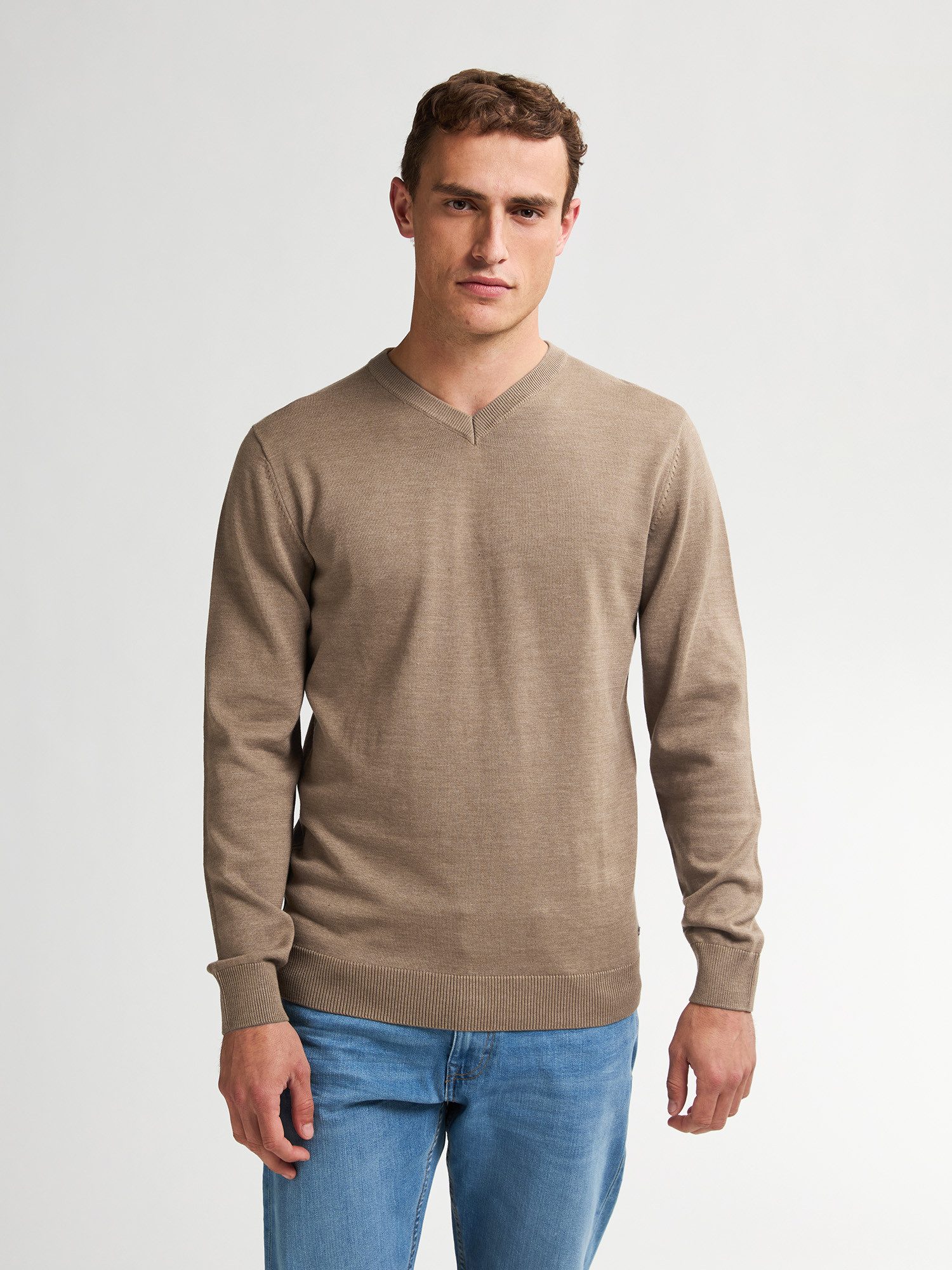 Petrol Industries V-Ausschnitt-Pullover "V-Neck Basi", Materialmix mit Baum günstig online kaufen