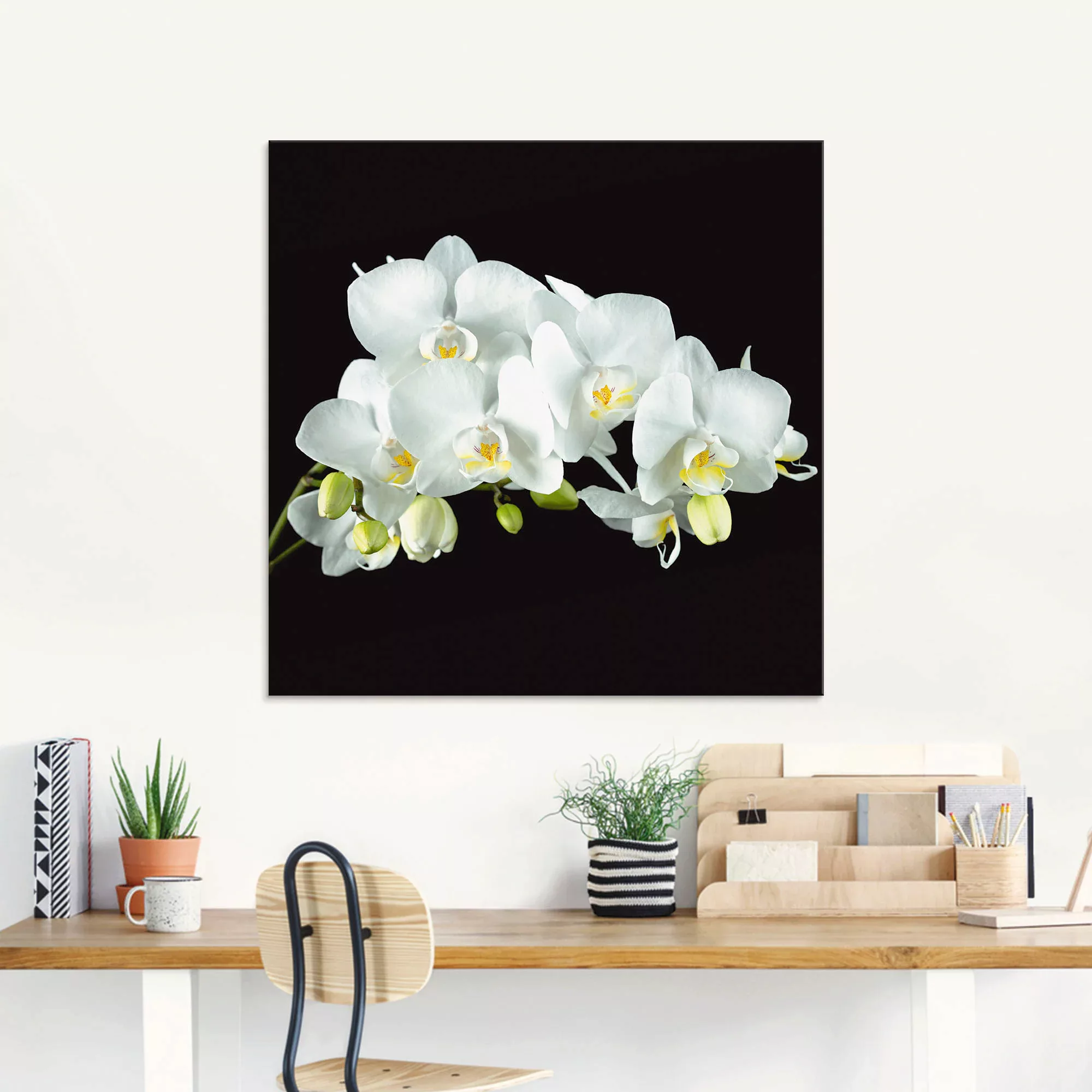 Artland Glasbild »Weiße Orchidee auf schwarzem Hintergrund«, Blumen, (1 St. günstig online kaufen