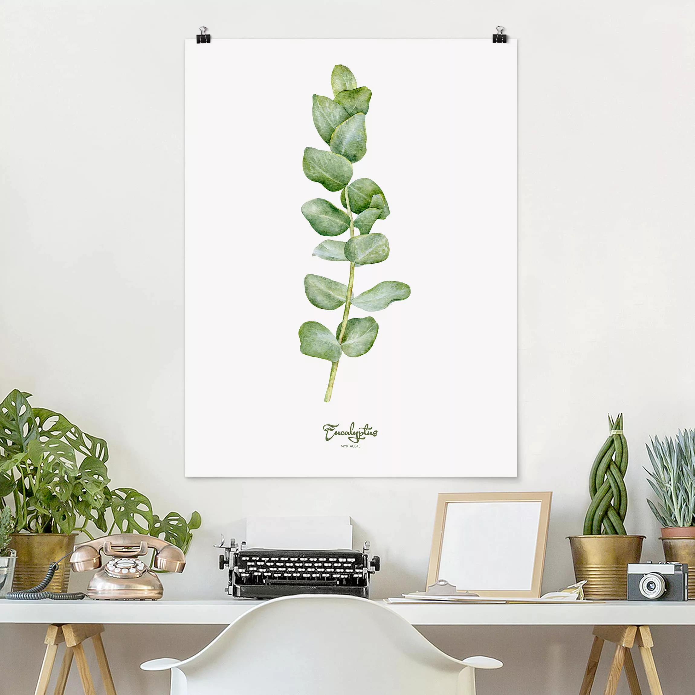 Poster Blumen - Hochformat Aquarell Botanik Eukalyptus günstig online kaufen