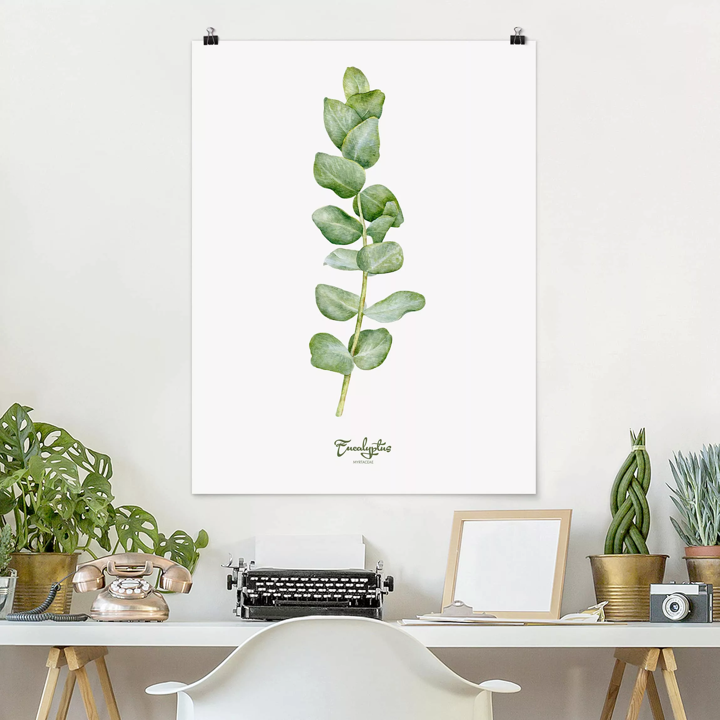 Poster - Hochformat Aquarell Botanik Eukalyptus günstig online kaufen