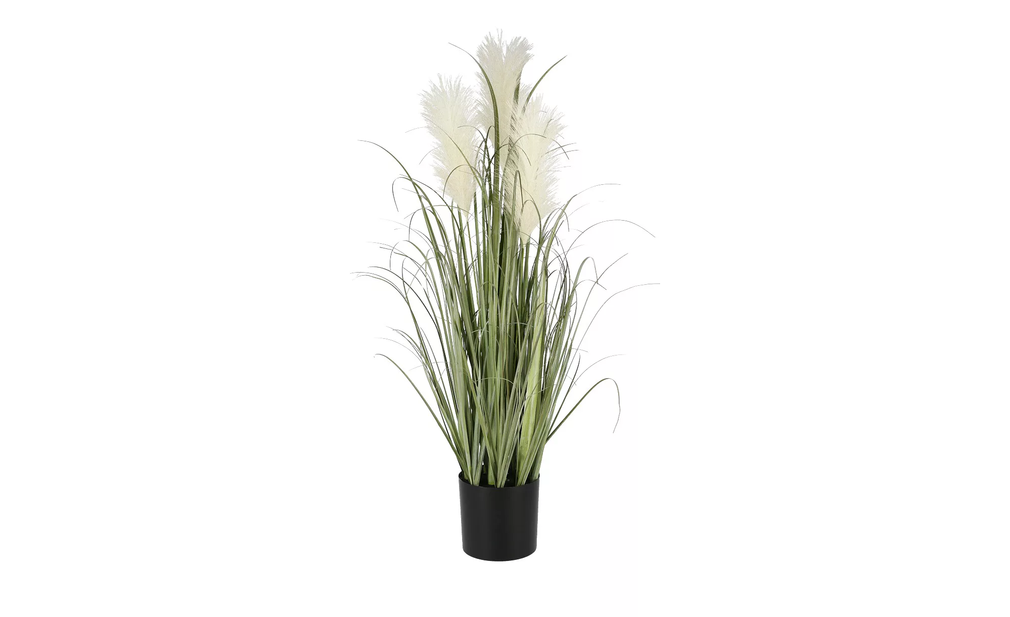 Pampasgras - grün - Zement, Kunststoff - 78 cm - Dekoration > Kunstblumen - günstig online kaufen