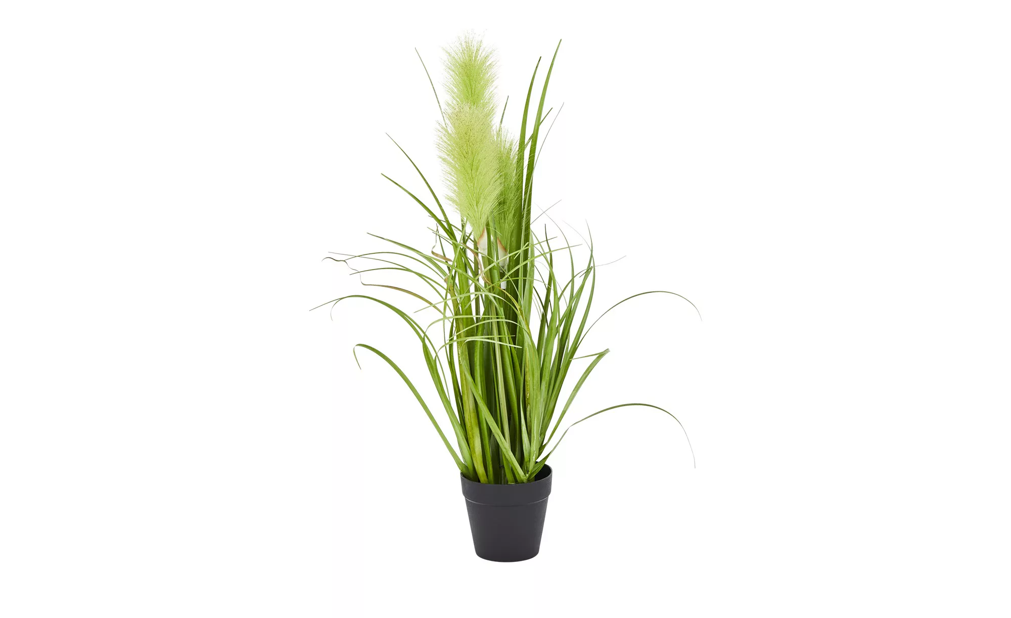 Pampasgras - grün - Kunststoff - 55 cm - Sconto günstig online kaufen