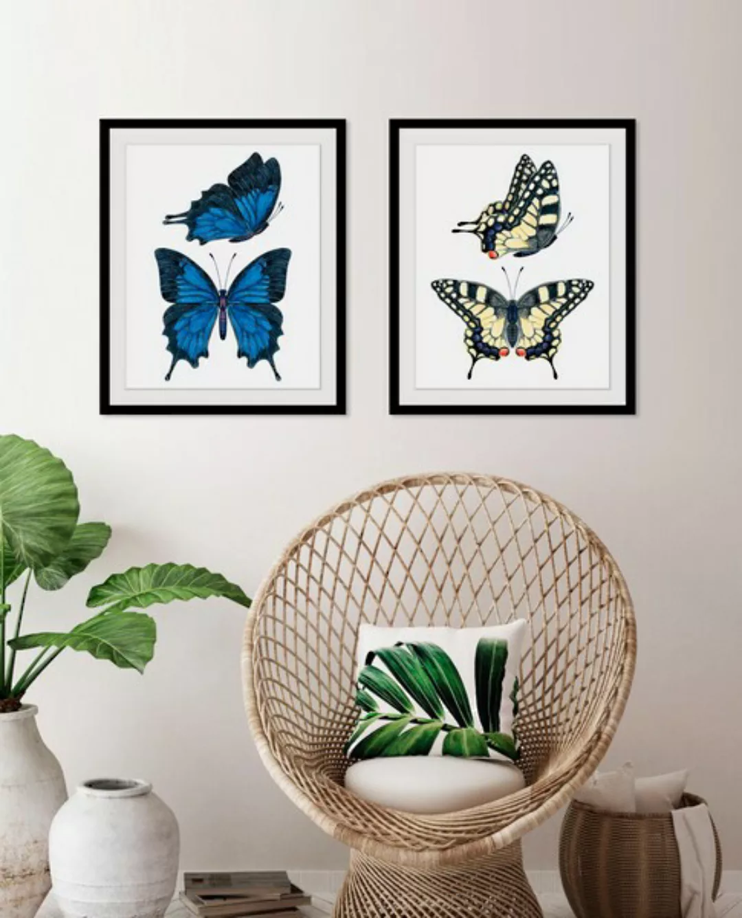 queence Bild »Amanda«, Schmetterlinge, (1 St.) günstig online kaufen