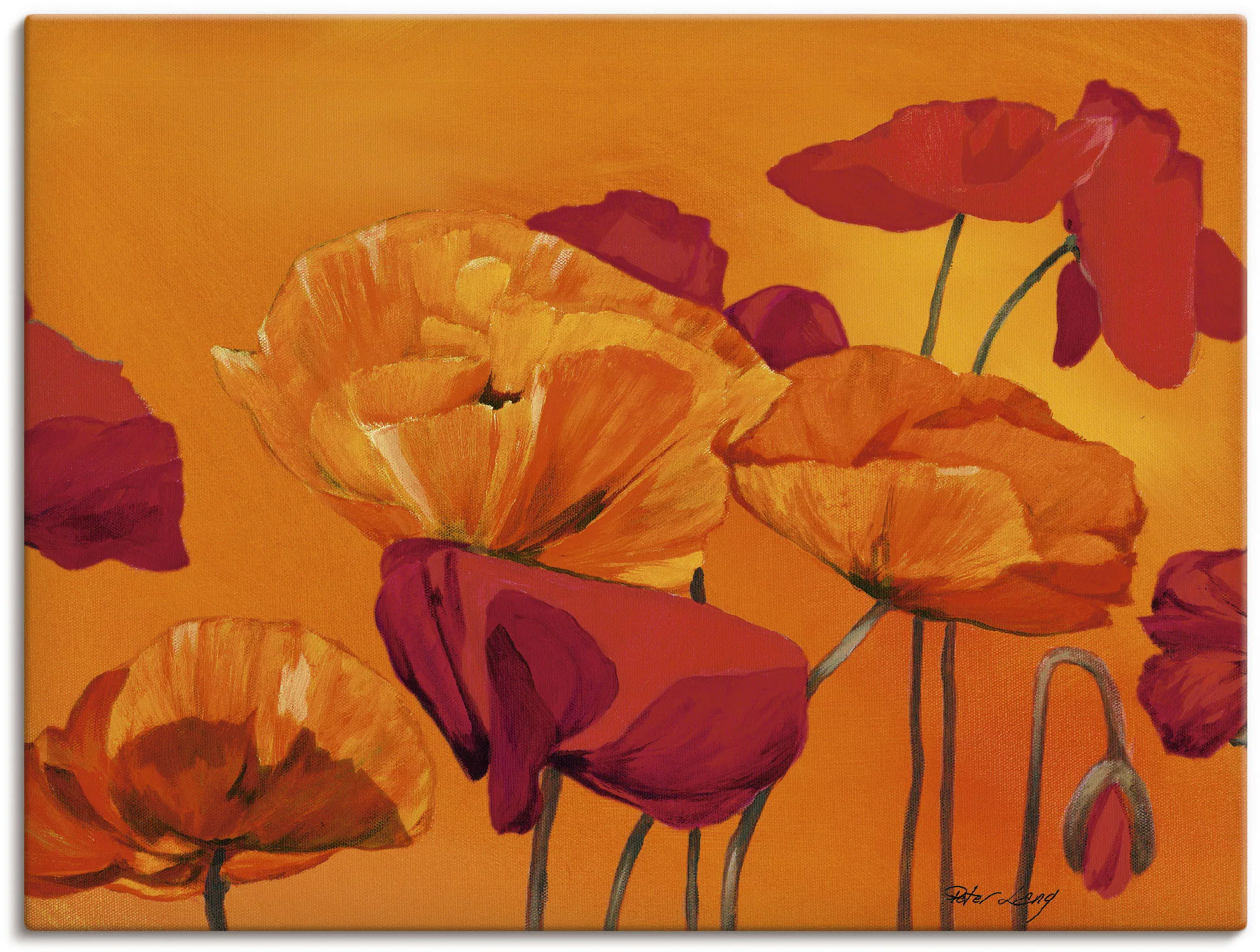 Artland Wandbild "Mohnblume", Blumen, (1 St.) günstig online kaufen