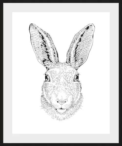 queence Bild "Tyra", Hase-Hasen-Schwarz-Weiß-Kunst-Haustiere, (1 St.), HD P günstig online kaufen