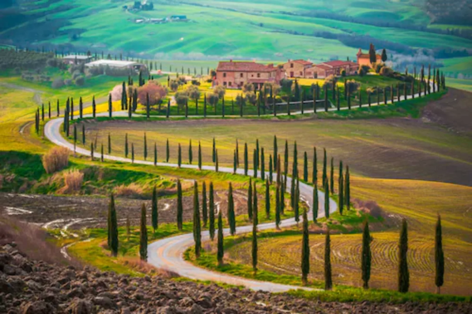Papermoon Fototapete »Fields in Tuscany« günstig online kaufen