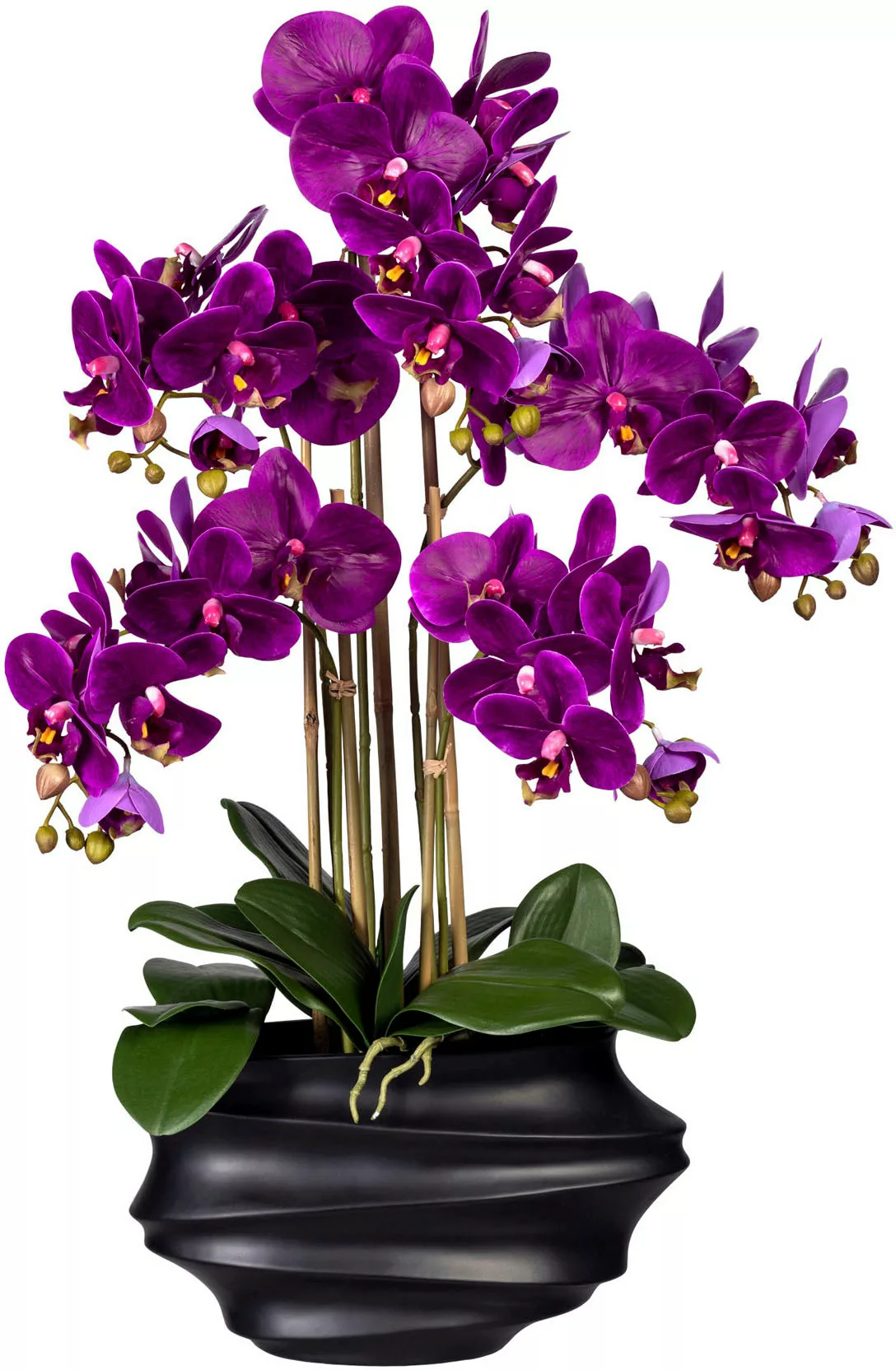 Creativ green Kunstorchidee "Phalaenopsis", in Design-Kunststoffvase günstig online kaufen