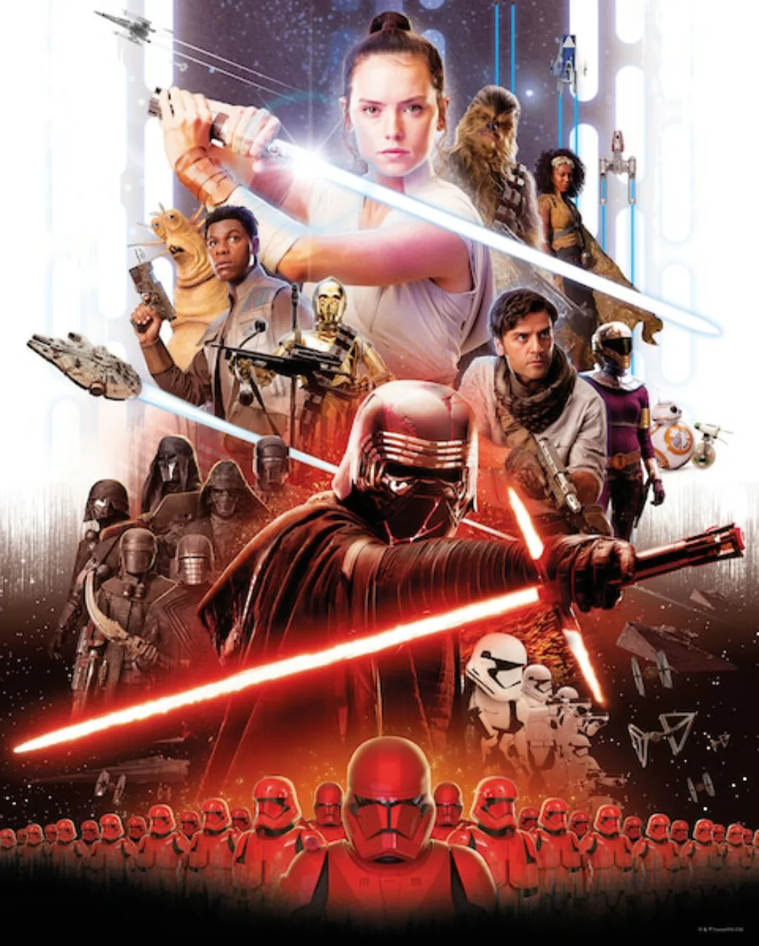 Komar Wandbild Star Wars Rey 40 x 50 cm günstig online kaufen