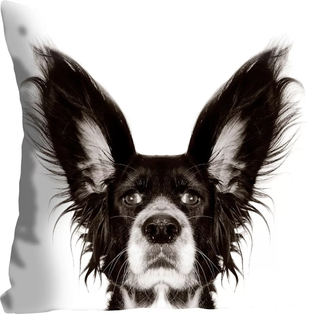 queence Dekokissen »Benni«, mit einem Hund mit spitzen Ohren, Kissenhülle o günstig online kaufen