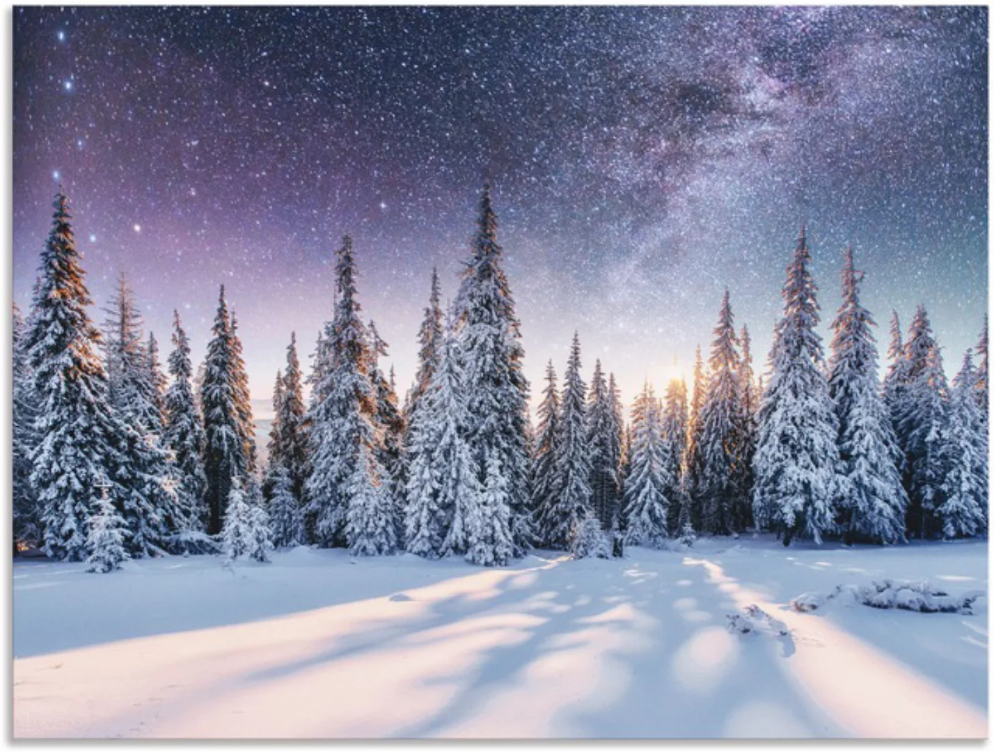 Artland Wandbild »Tannenwald im Schnee vorm Sternenhimmel«, Berge & Alpenbi günstig online kaufen