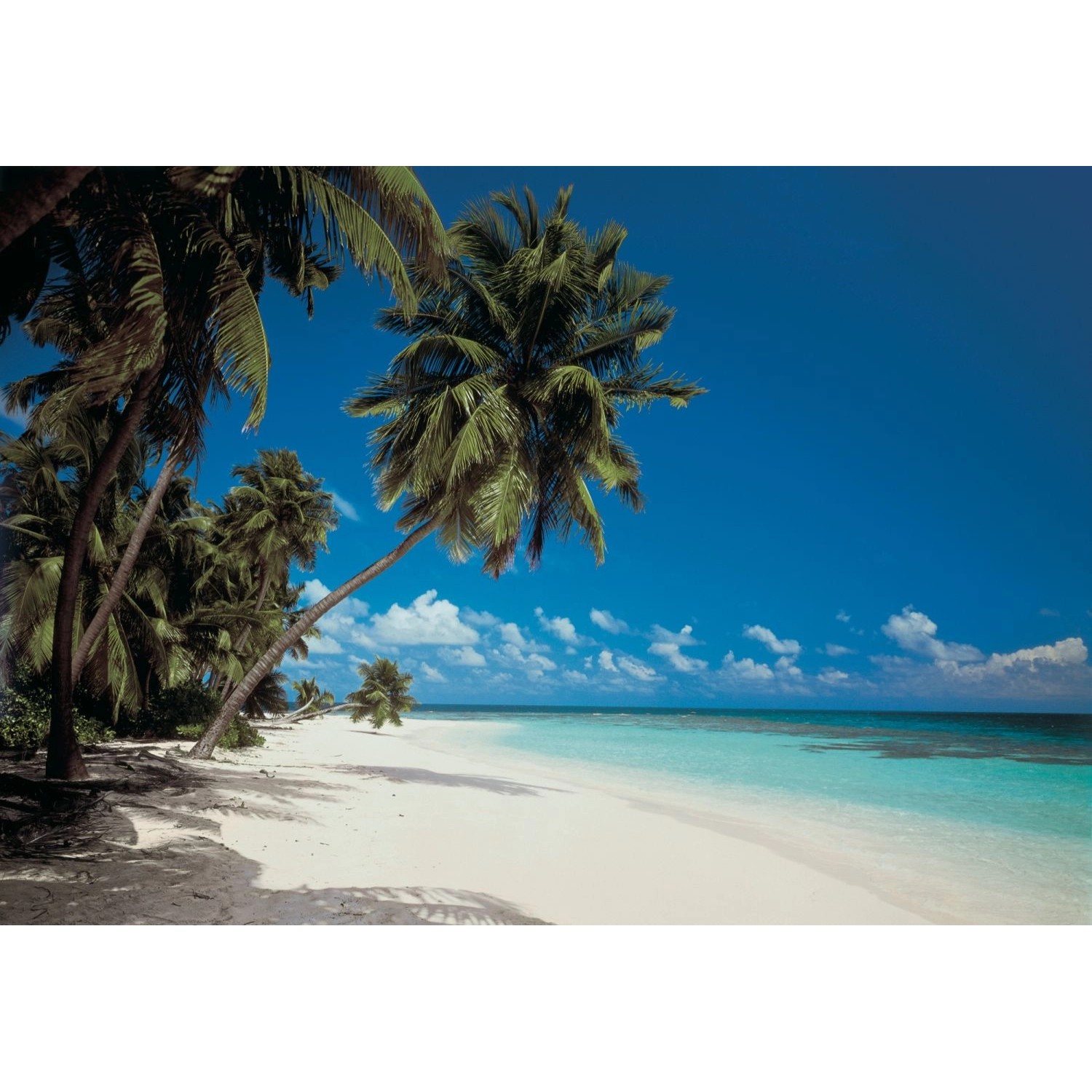 Komar Fototapete Maldives Blau und Grün 368 x 270 cm 610937 günstig online kaufen