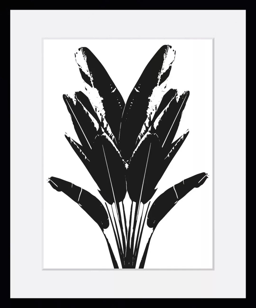 queence Bild "Palma", Blätter-Pflanzen-Pflanzenbilder-Kunst-Schwarz-Weiß, ( günstig online kaufen