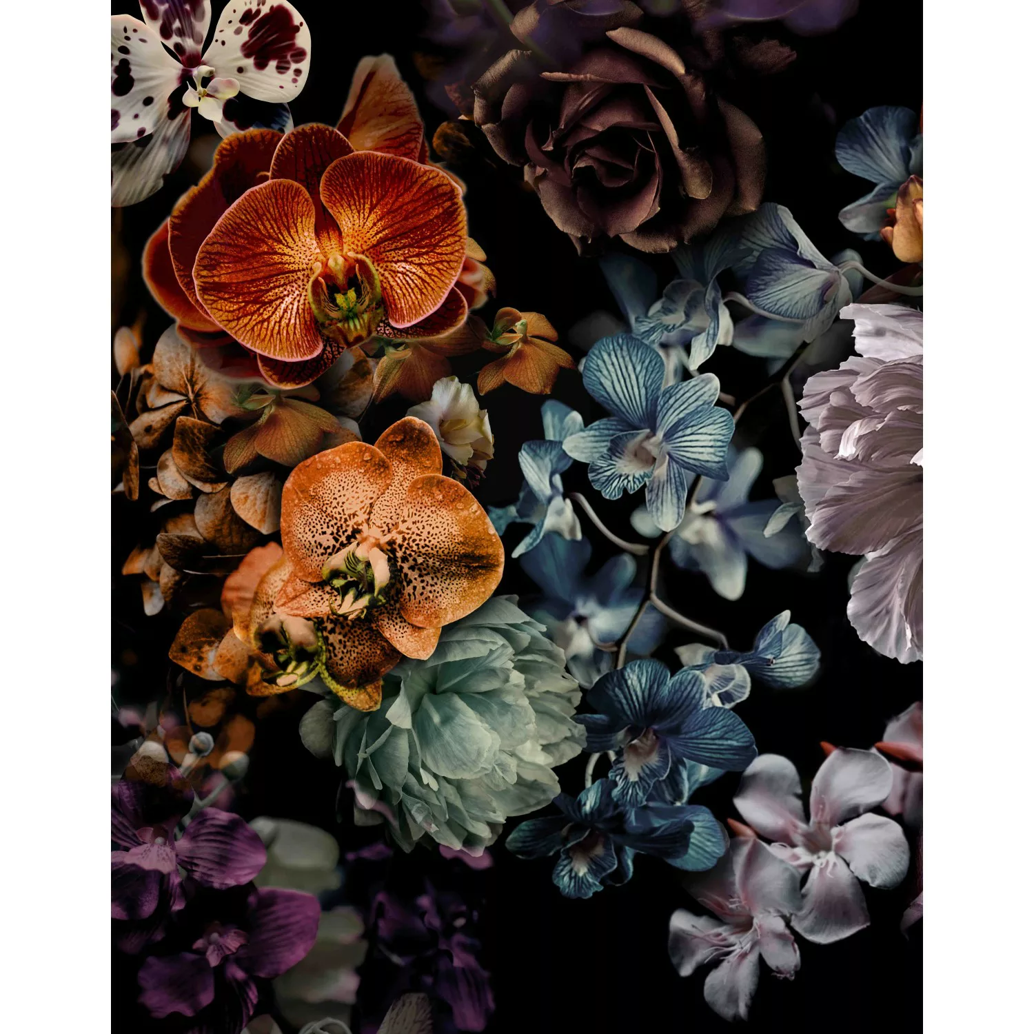 Marburg Fototapete Smart Art Gallery 7 Floral Modern Schwarz-Rosa FSC® günstig online kaufen