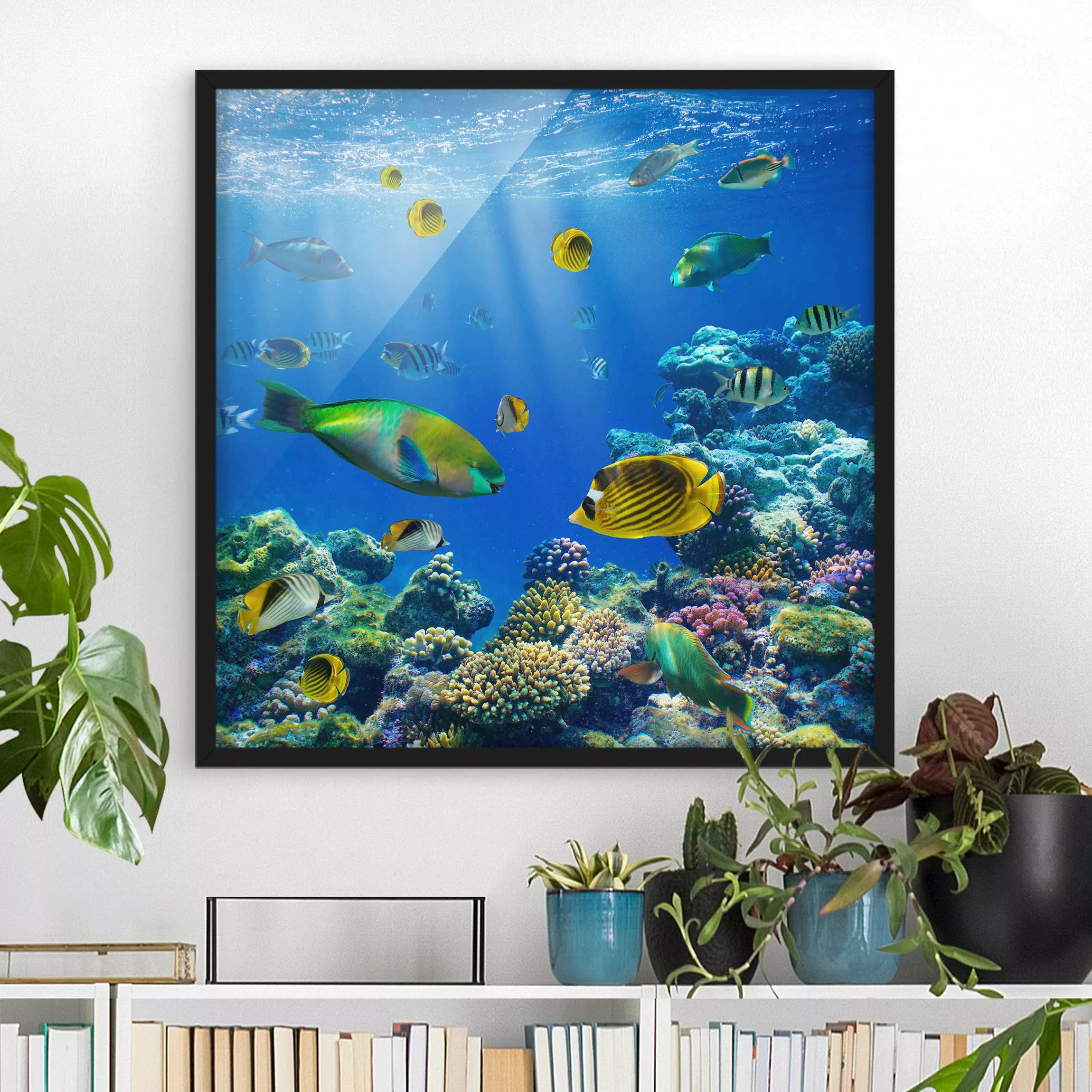 Bild mit Rahmen Natur & Landschaft - Quadrat Underwater Lights günstig online kaufen