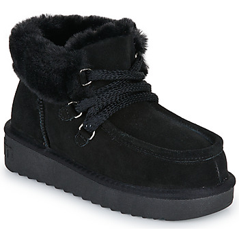 D.Franklin  Damenstiefel 375 NORDIC günstig online kaufen