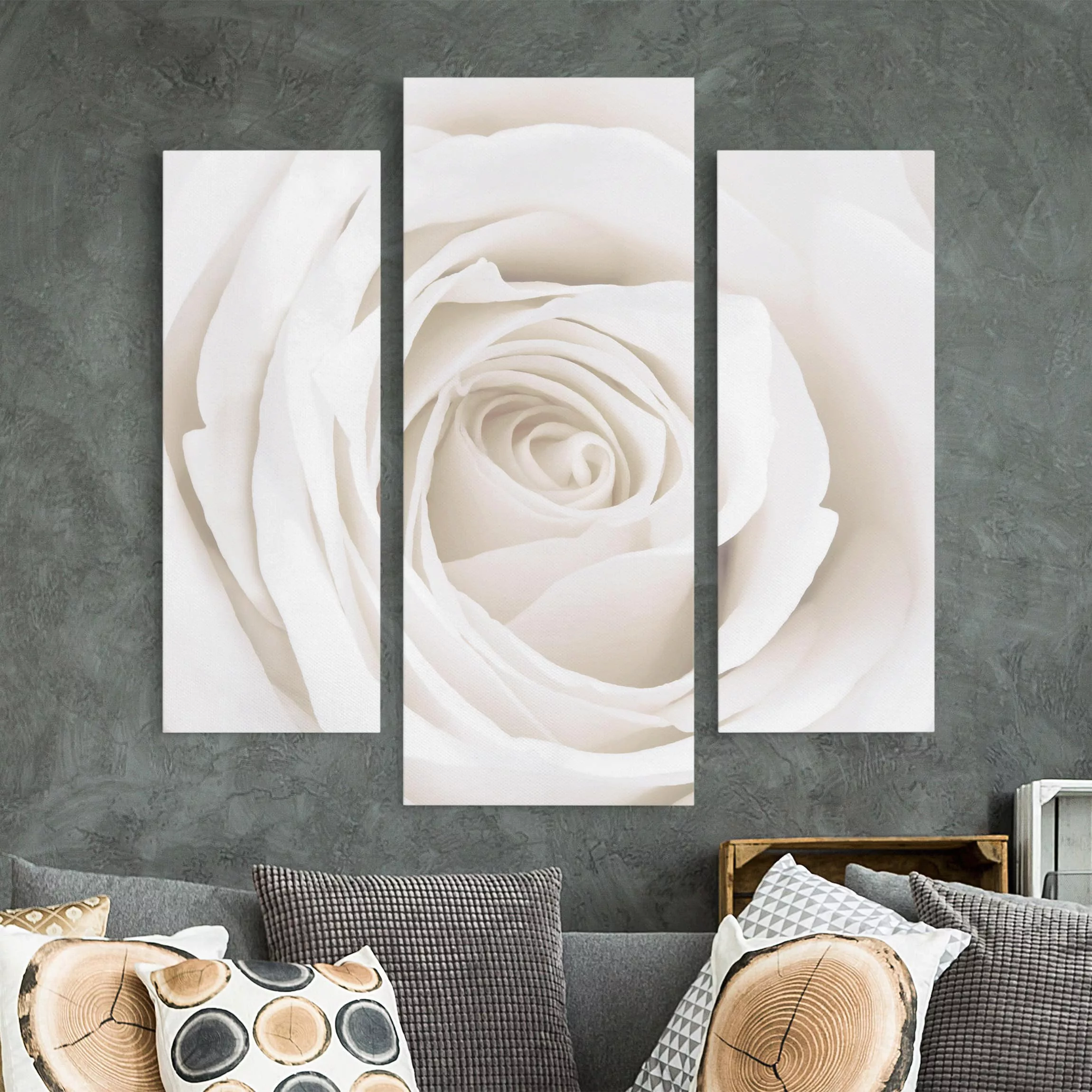 3-teiliges Leinwandbild Blumen - Querformat Pretty White Rose günstig online kaufen