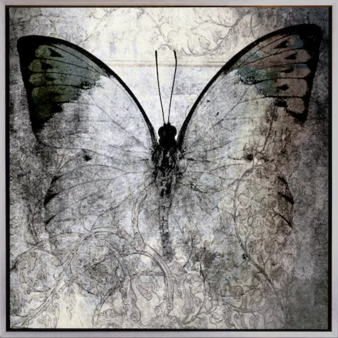 queence Leinwandbild "Butterfly", Abstrakt-Schmetterlinge, mit einem Schatt günstig online kaufen