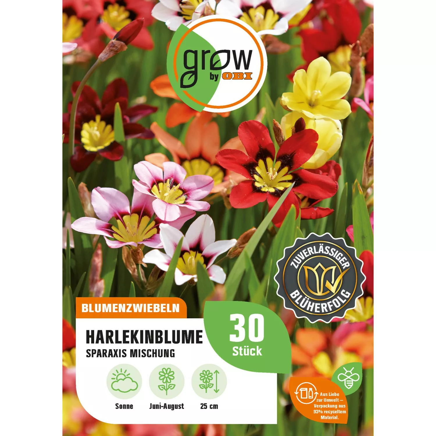 GROW by OBI Harlekinblume Tricolor-Mischung Höhe 25 cm Sparaxis günstig online kaufen