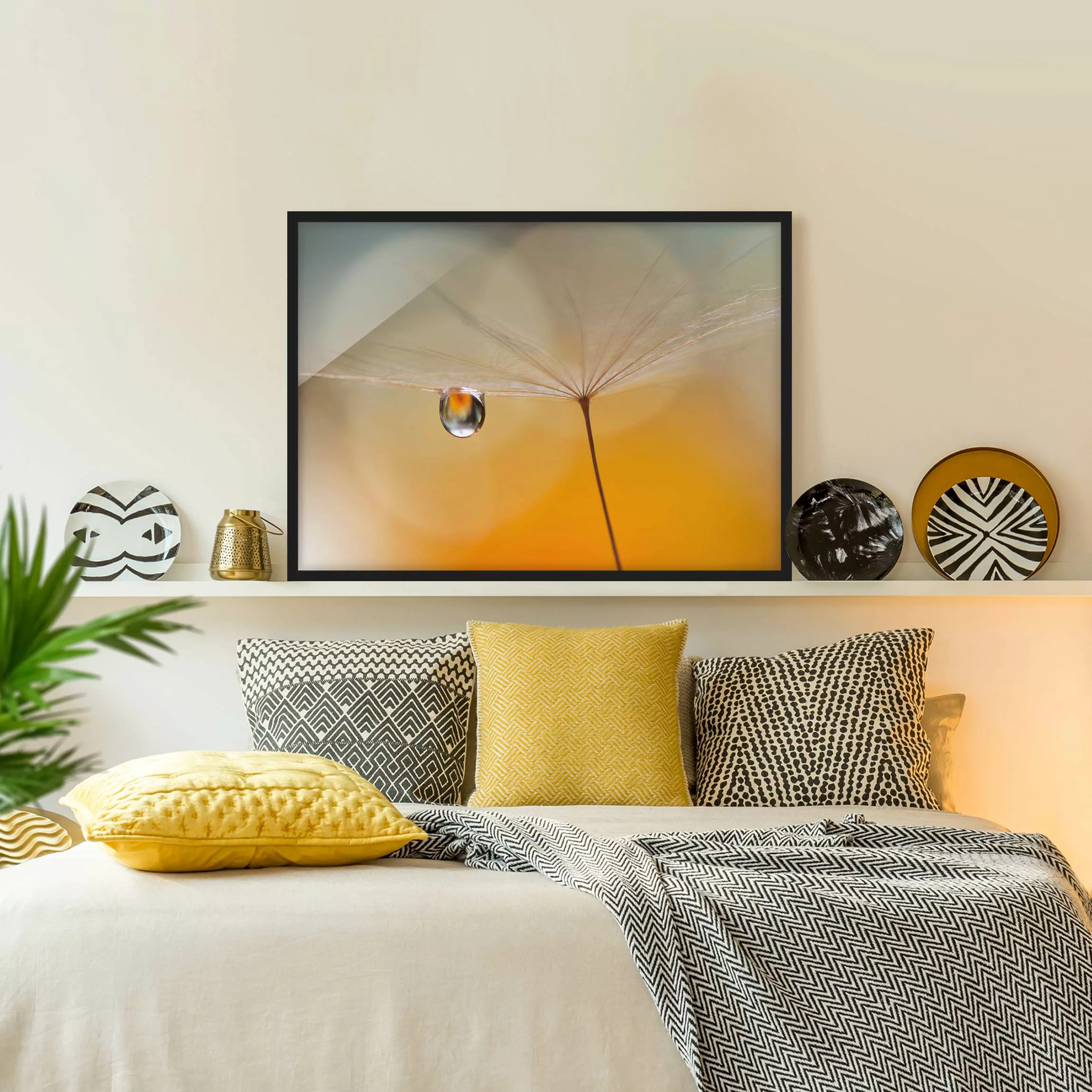 Bild mit Rahmen Blumen - Querformat Pusteblume in Orange günstig online kaufen