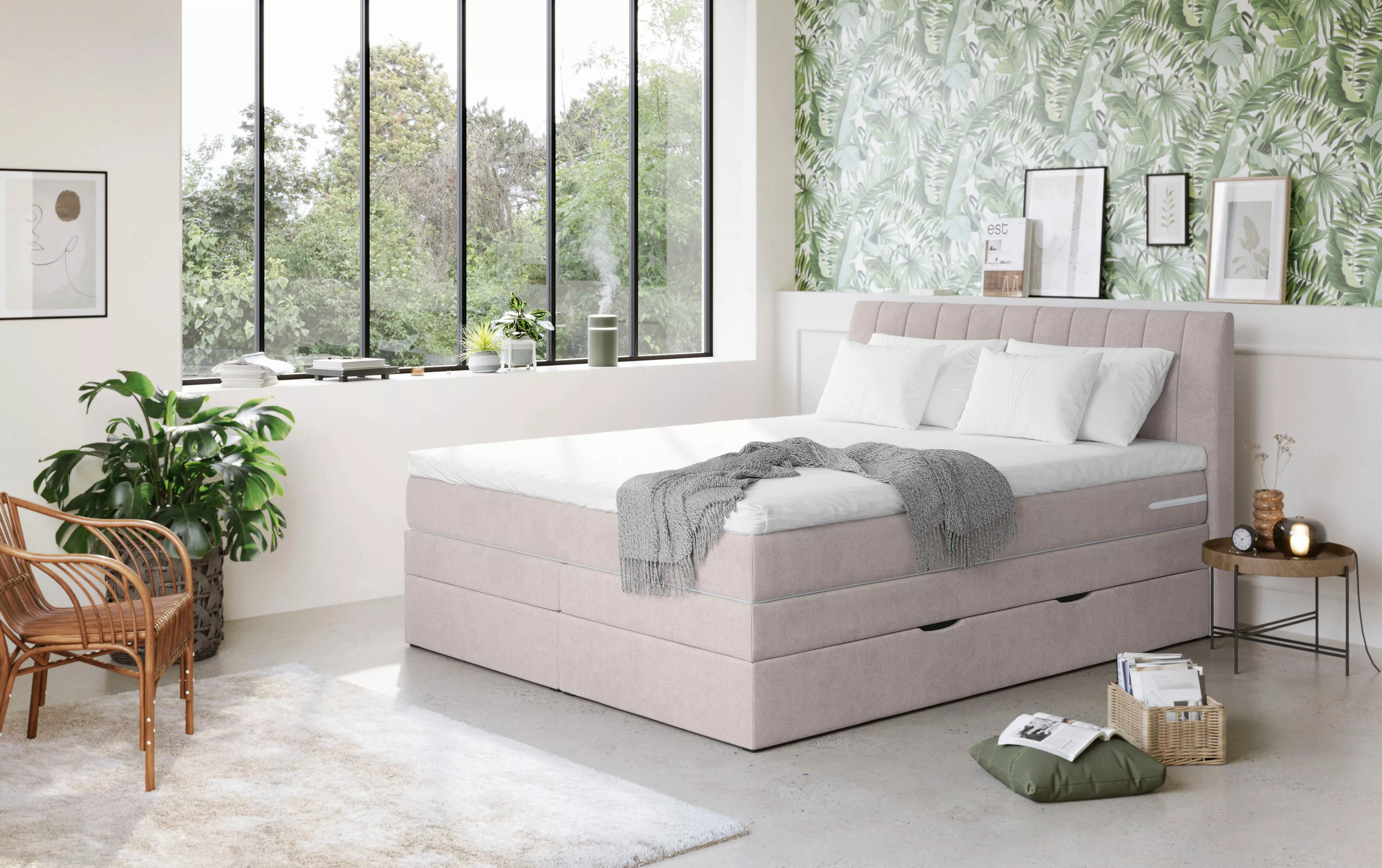COTTA Boxspringbett "Shark inkl. Bettkasten und Topper", erhältlich in den günstig online kaufen