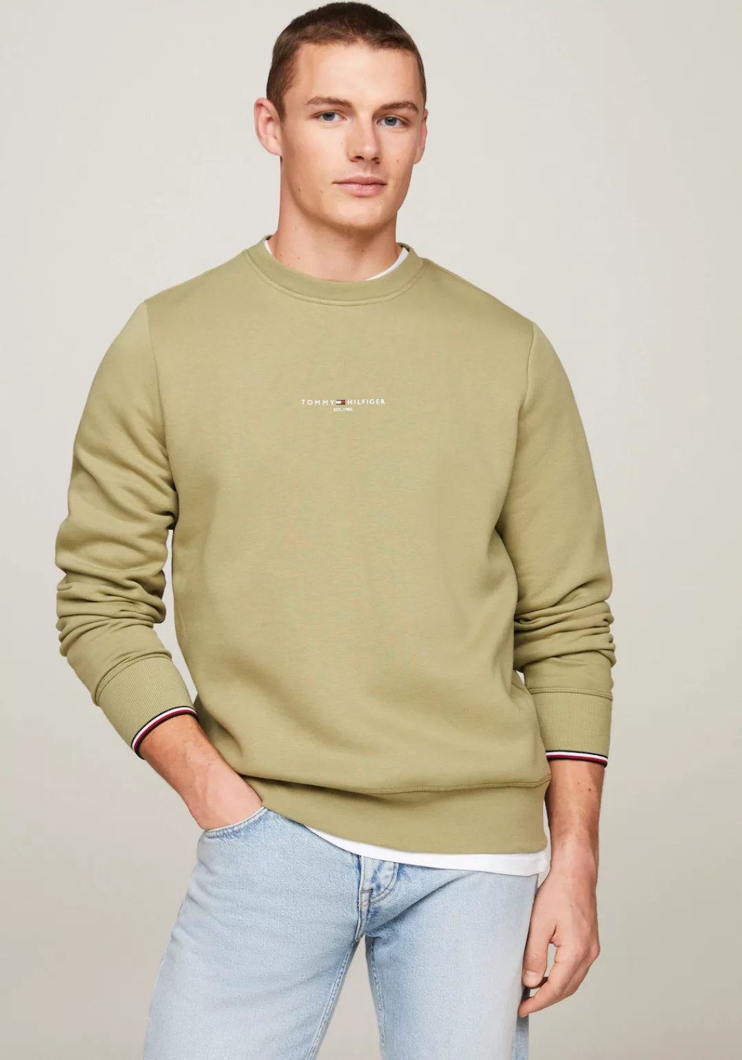 Tommy Hilfiger Sweatshirt TOMMY LOGO TIPPED CREWNECK günstig online kaufen