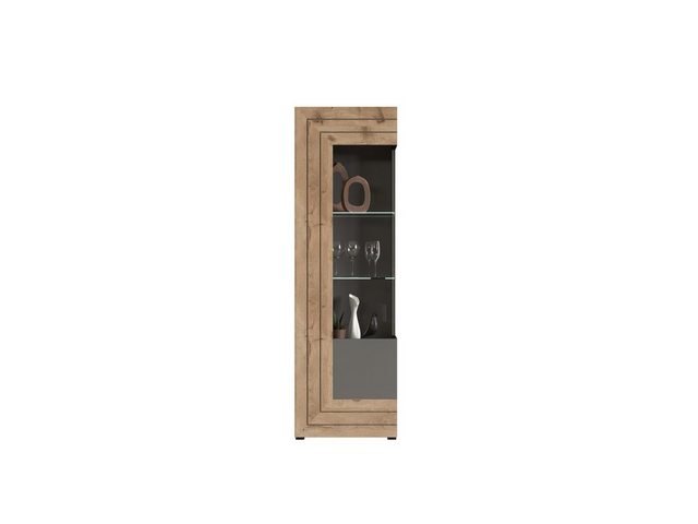 furnling Vitrine Bogota 60 x 195 x 37 cm in matt grau/Eiche, Schrank günstig online kaufen