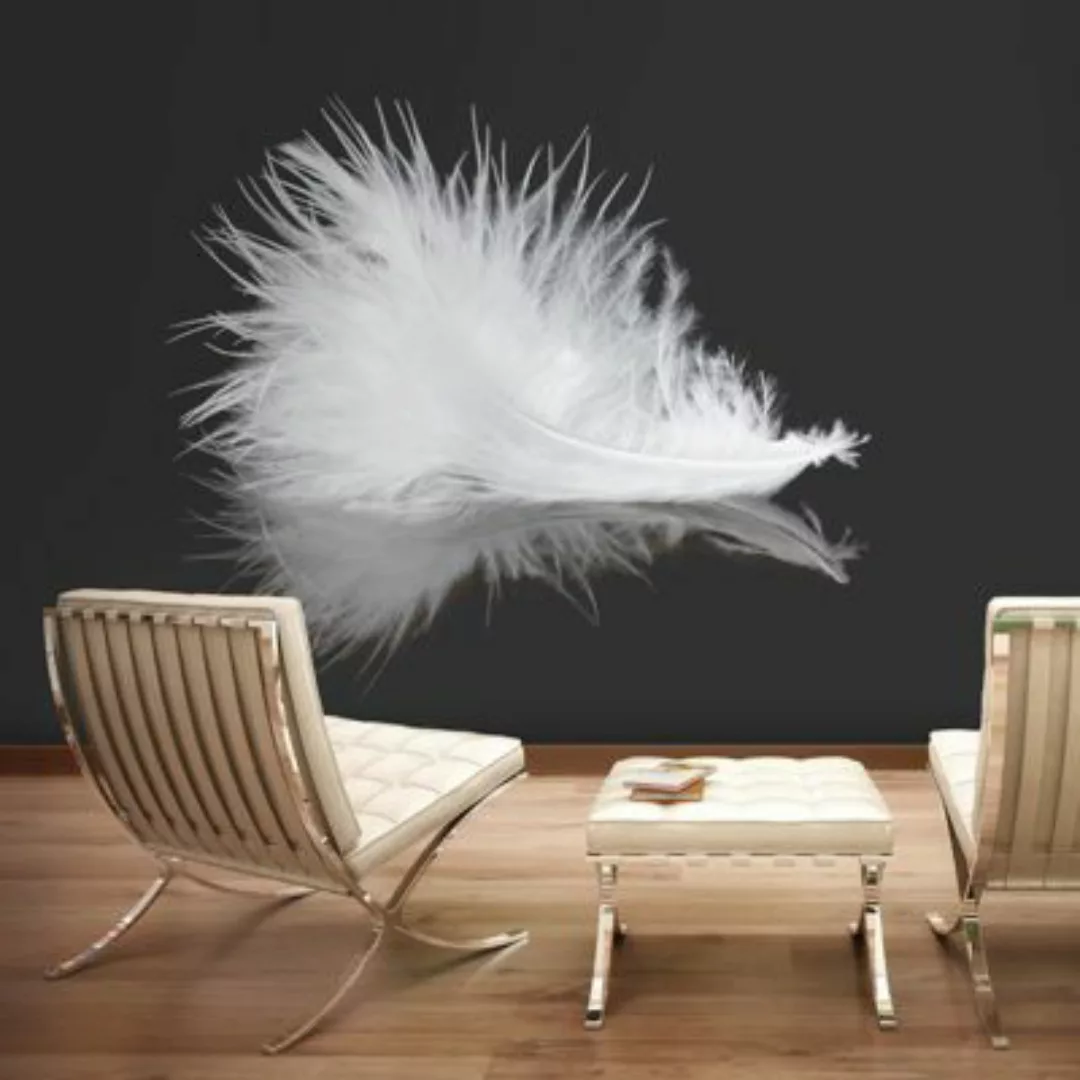 artgeist Fototapete White feather schwarz/weiß Gr. 250 x 193 günstig online kaufen