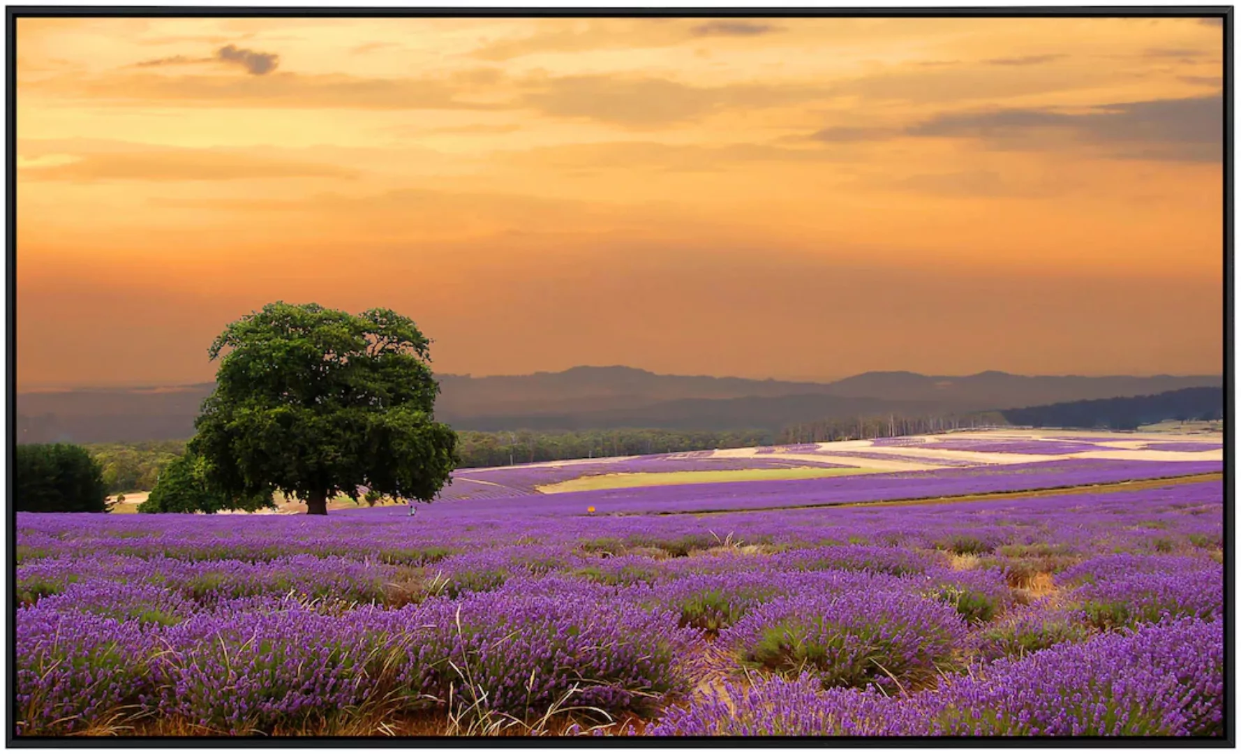 Papermoon Infrarotheizung »Lavendelfeld«, sehr angenehme Strahlungswärme günstig online kaufen