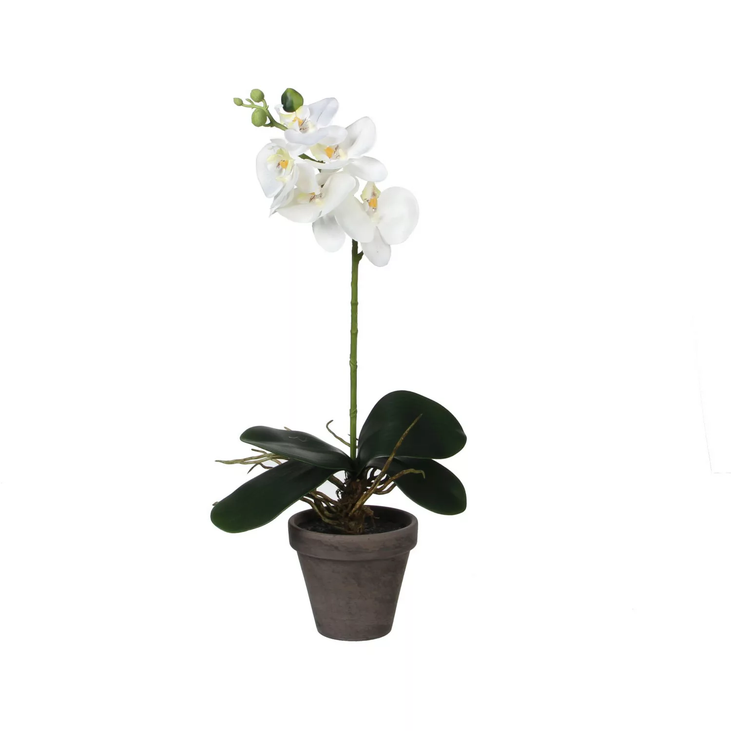 Mica Decorations Kunstpflanze Phalaenopsis im Topf Ø 13 cm x 48 cm Weiß günstig online kaufen