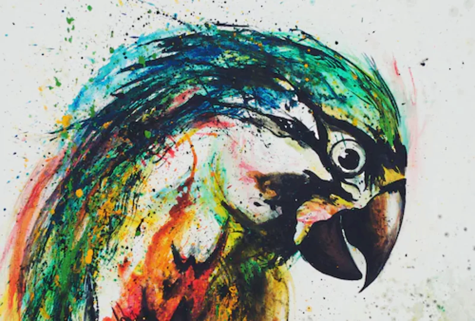 living walls Fototapete »ARTist Parrot«, Vlies, Wand, Schräge günstig online kaufen
