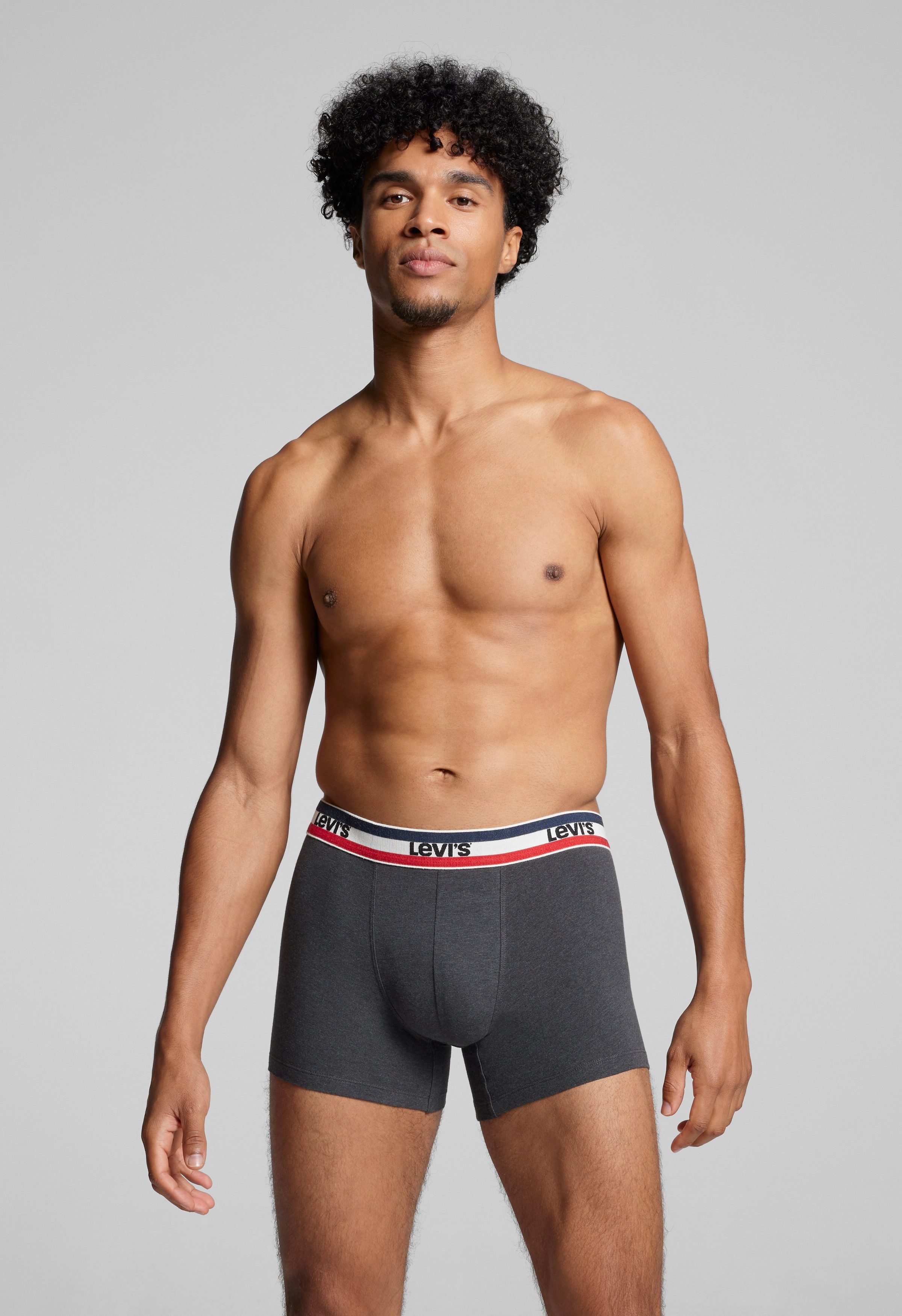 Levis Boxershorts "LEVIS MEN SPW LOGO BOXER BRIEF ORG 2P", (Packung, 2er Pa günstig online kaufen