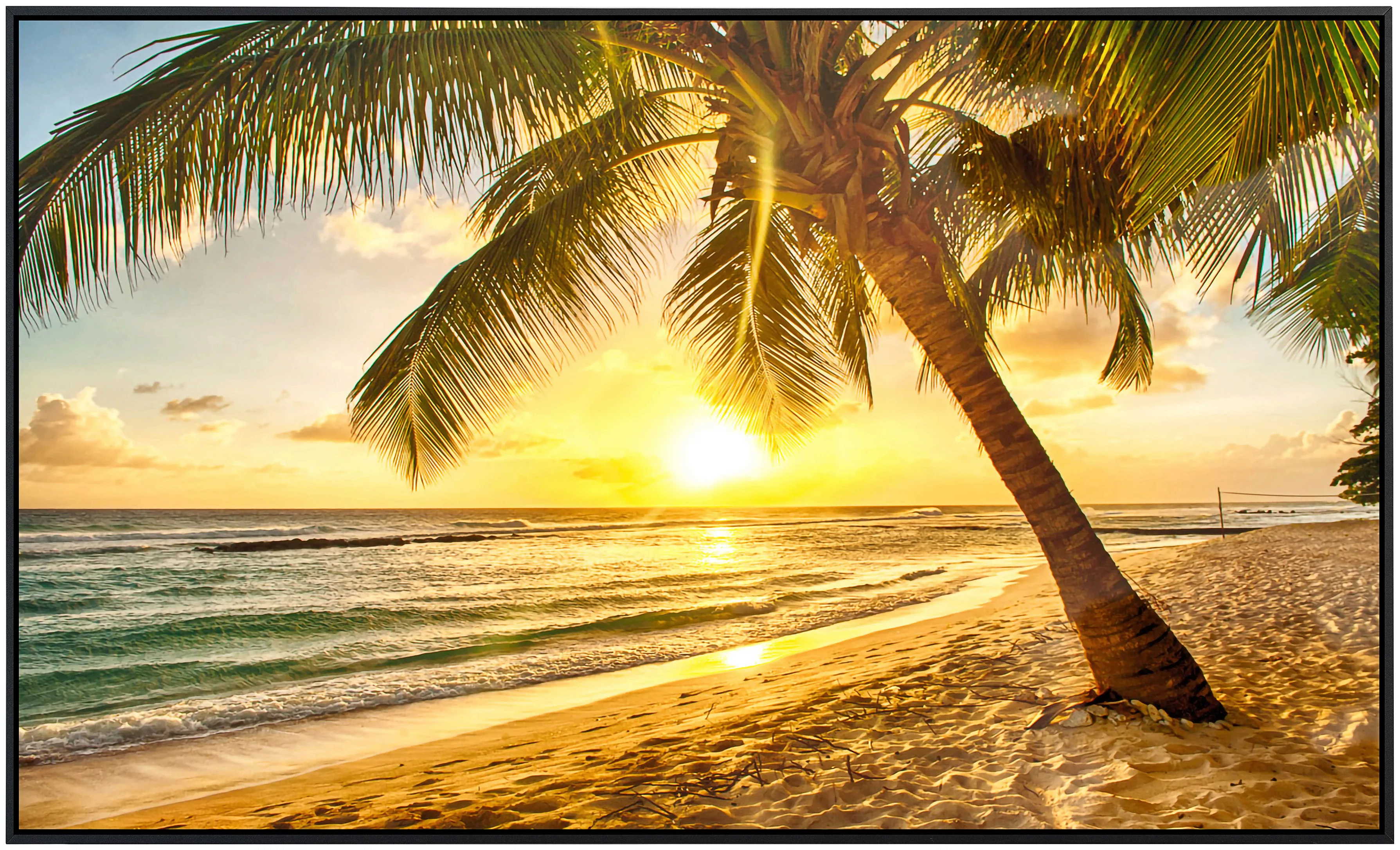 Papermoon Infrarotheizung »Barbados Palm Beach«, sehr angenehme Strahlungsw günstig online kaufen