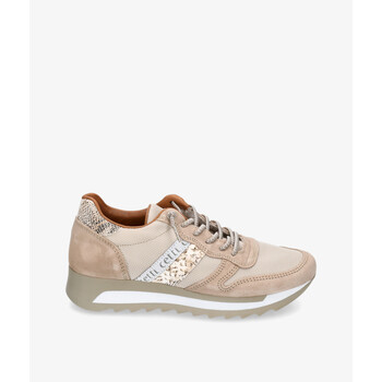 Cetti  Sneaker C-847 SRA günstig online kaufen