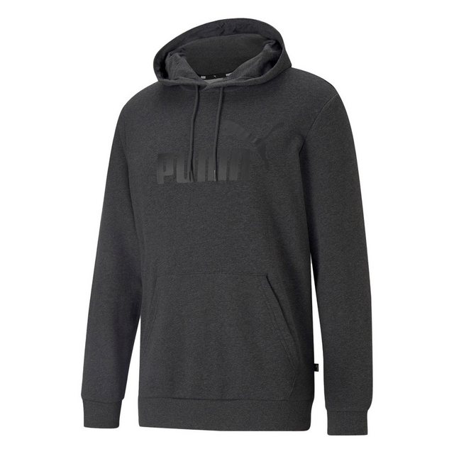 PUMA Kapuzensweatshirt ESS Big Logo Hoodie TR,DARK GR PLATINUM TINT/METALLI günstig online kaufen