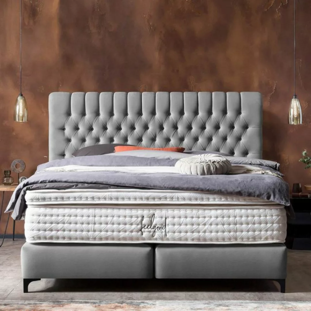 BettCo Boxspringbett Chester (in Grau Velours, 180 x 200 cm), Topper option günstig online kaufen