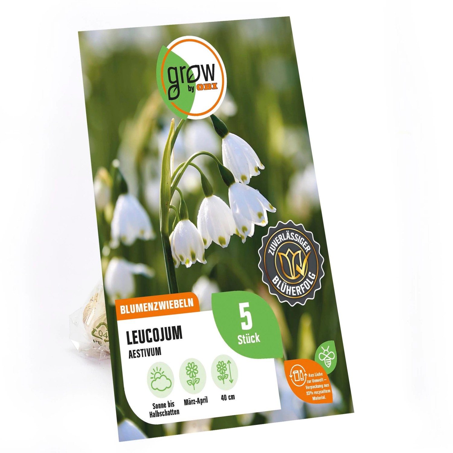 GROW by OBI Sommer-Knotenblume Weiß 40 cm Leucojum aestivum günstig online kaufen