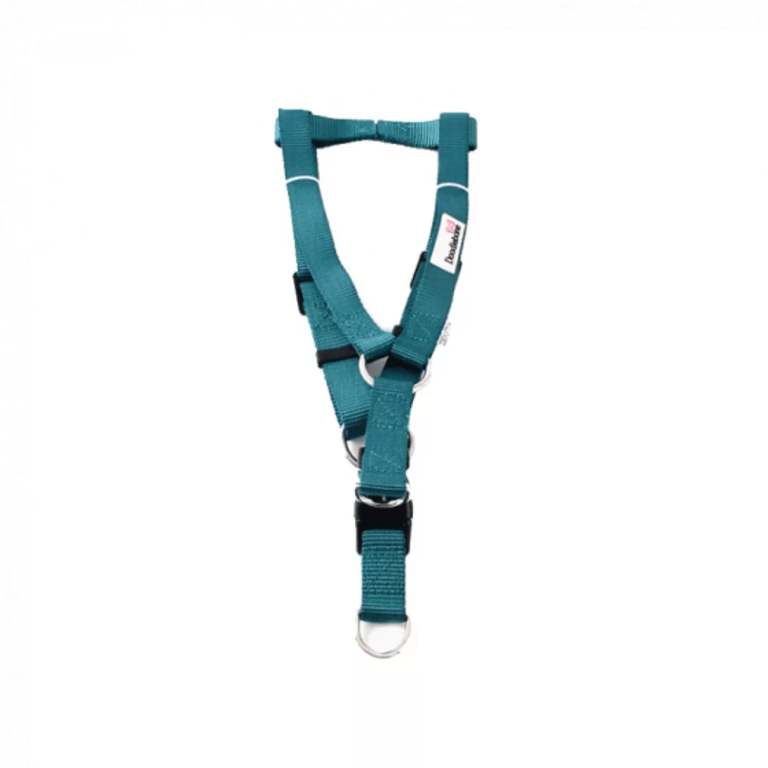 Hundegeschirr Bold 30 X 40 Cm Teal Größe Xs günstig online kaufen