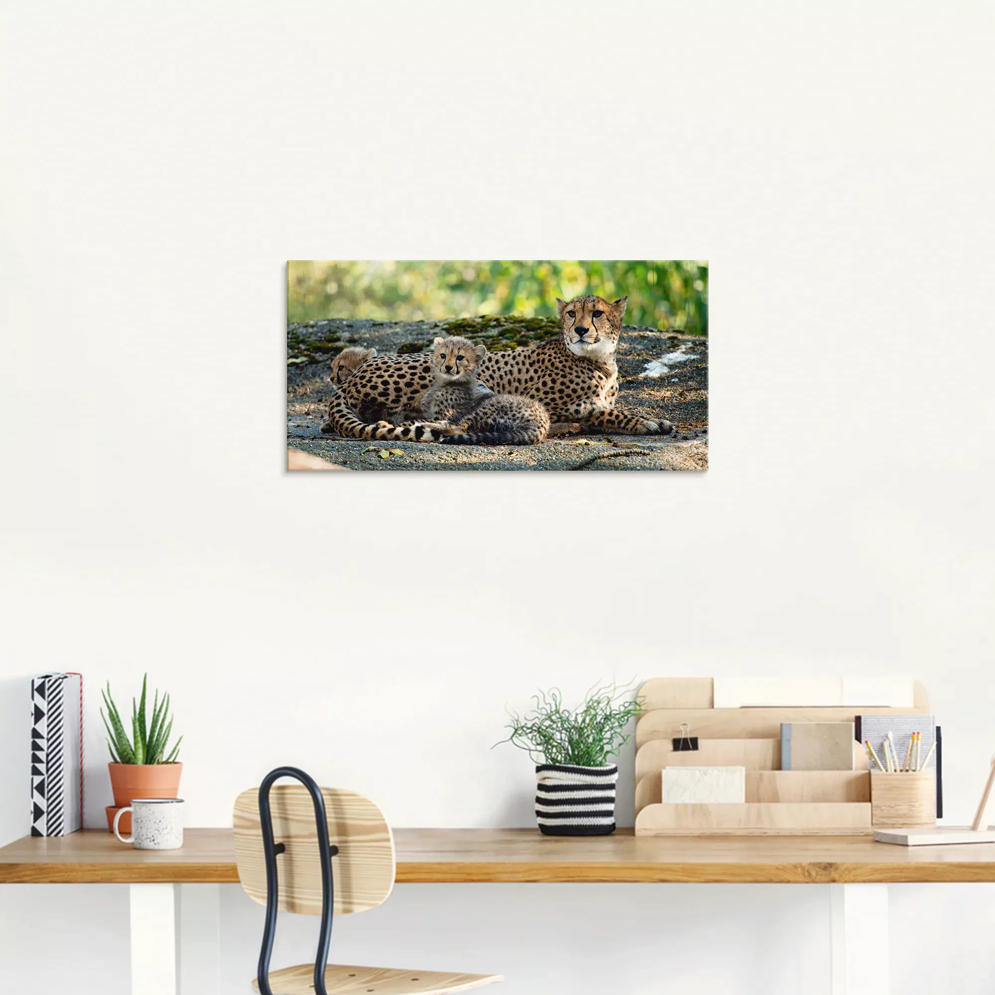 Artland Glasbild "Gepard 2", Wildtiere, (1 St.), in verschiedenen Größen günstig online kaufen