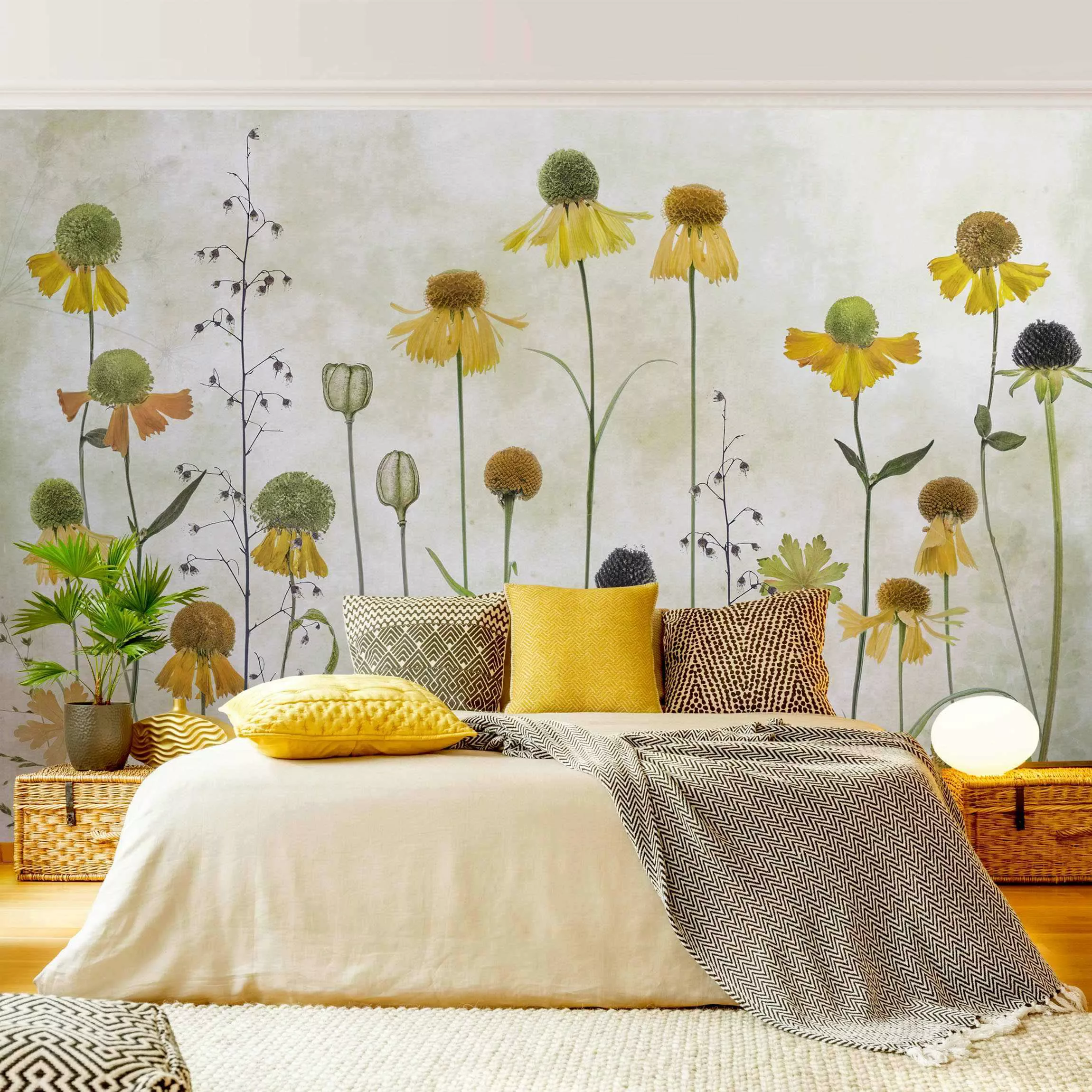 Fototapete Zarte Helenium Blüten günstig online kaufen