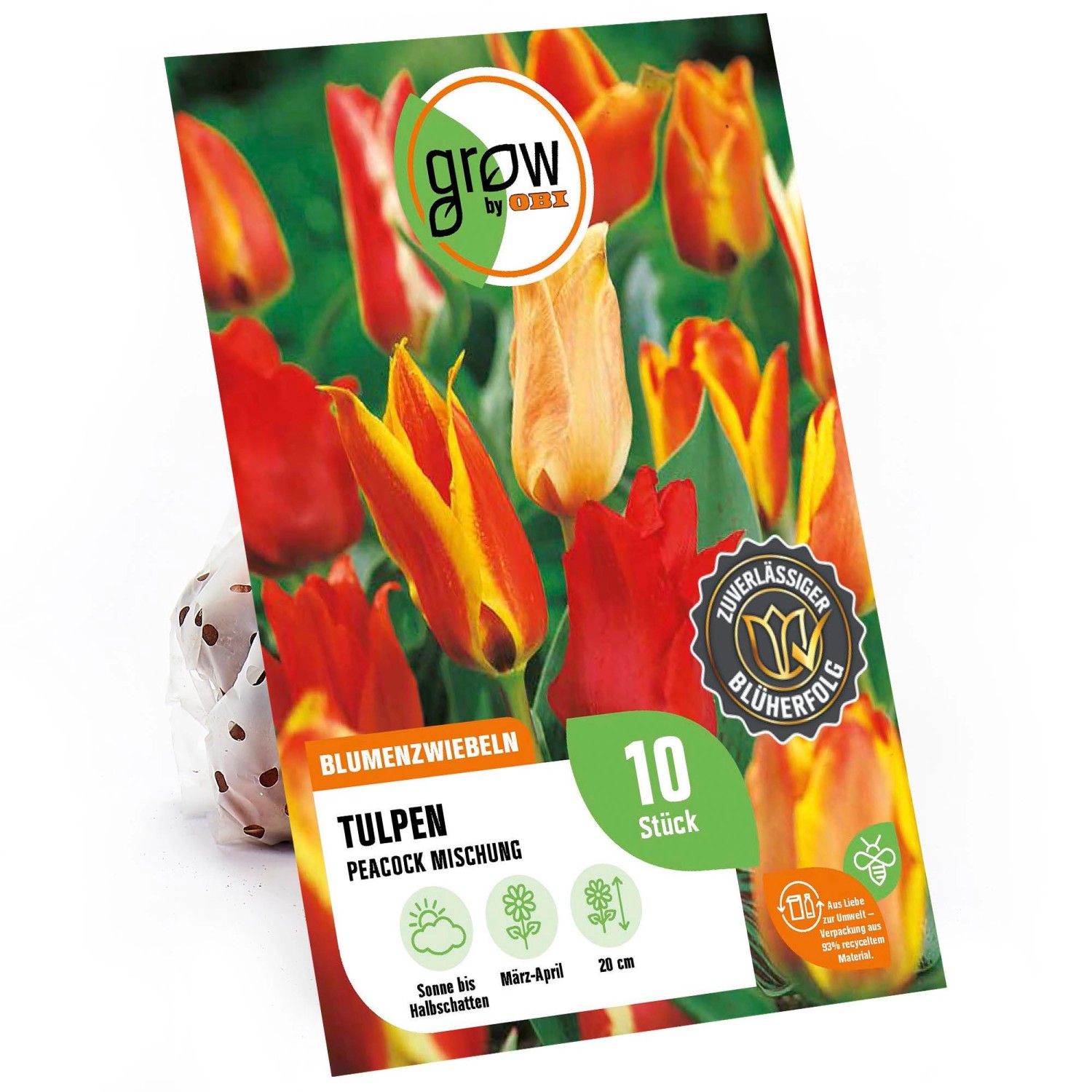 GROW by OBI Greigii-Tulpen Peacock Mischung 20 cm Tulipa Peacock günstig online kaufen