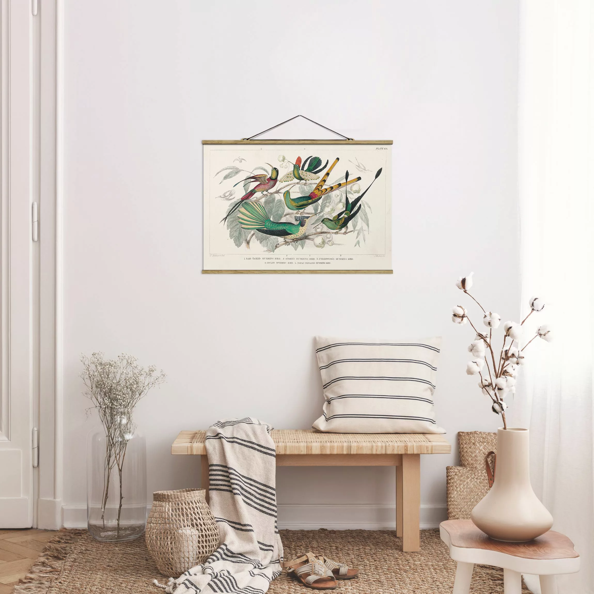 Stoffbild mit Posterleisten Kolibri-Diagramm günstig online kaufen
