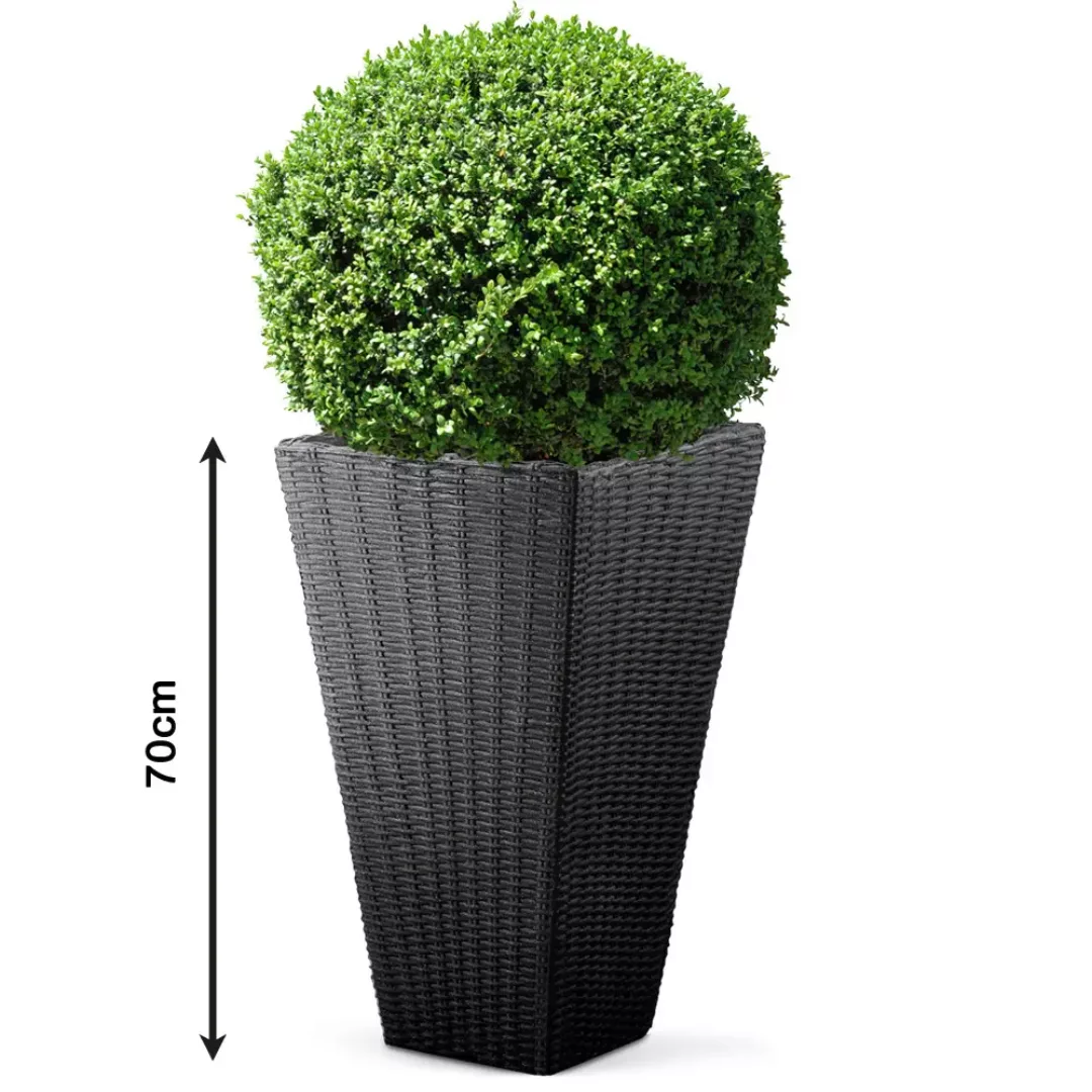 Blumentopf Anthrazit Polyrattan-Optik 70x40x40cm günstig online kaufen