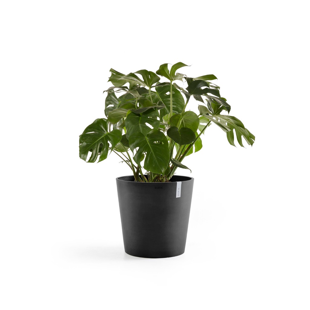 Ecopots Pflanztopf Amsterdam Dunkelgrau 60 cm günstig online kaufen